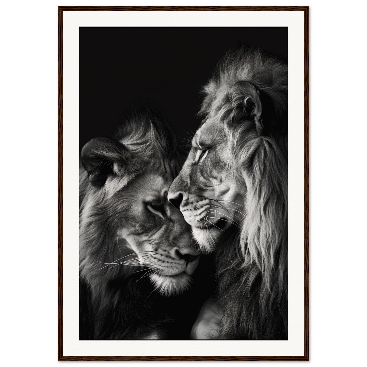 Poster Lion et Lionne Noir et Blanc ( 70x100-cm-Bois-foncé)