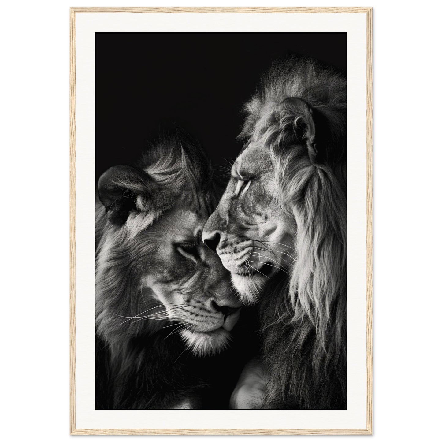 Poster Lion et Lionne Noir et Blanc ( 70x100-cm-Bois-clair)