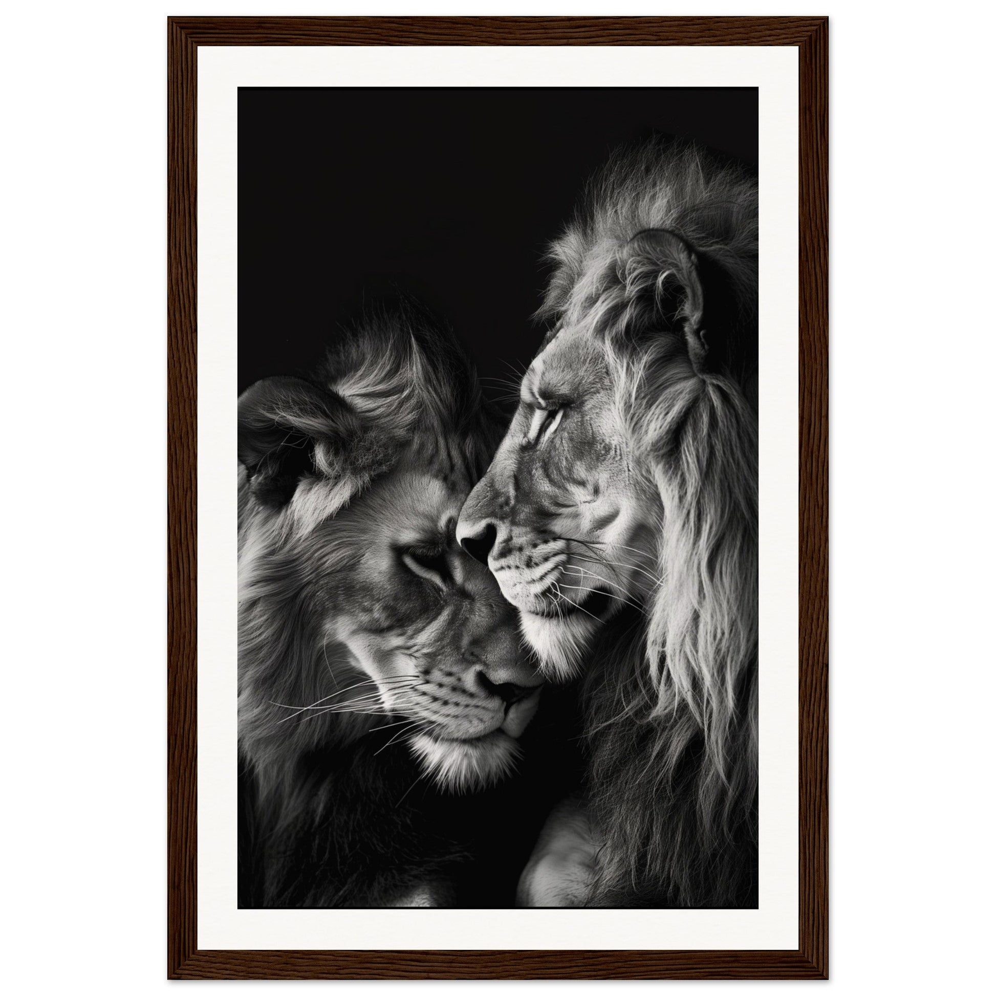 Poster Lion et Lionne Noir et Blanc ( 30x45-cm-Bois-foncé)