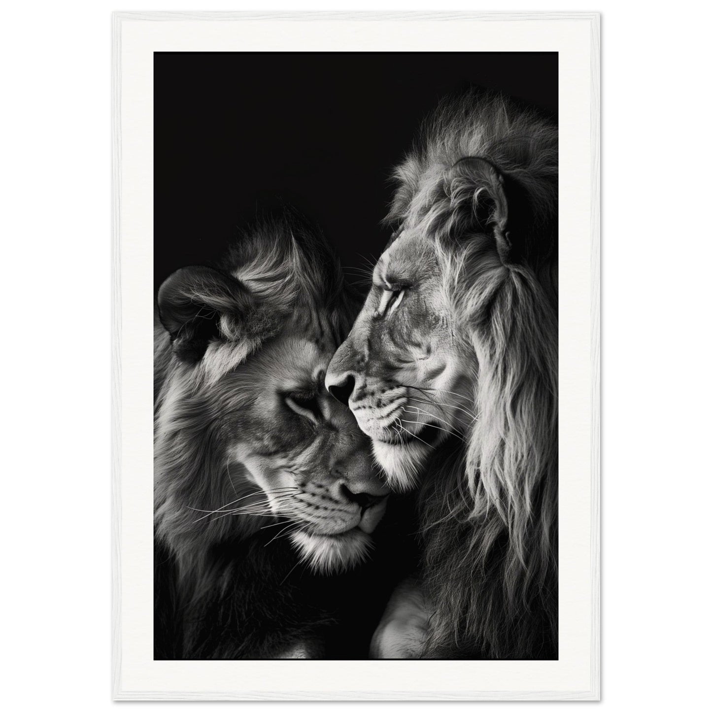 Poster Lion et Lionne Noir et Blanc ( 70x100-cm-Bois-blanc)