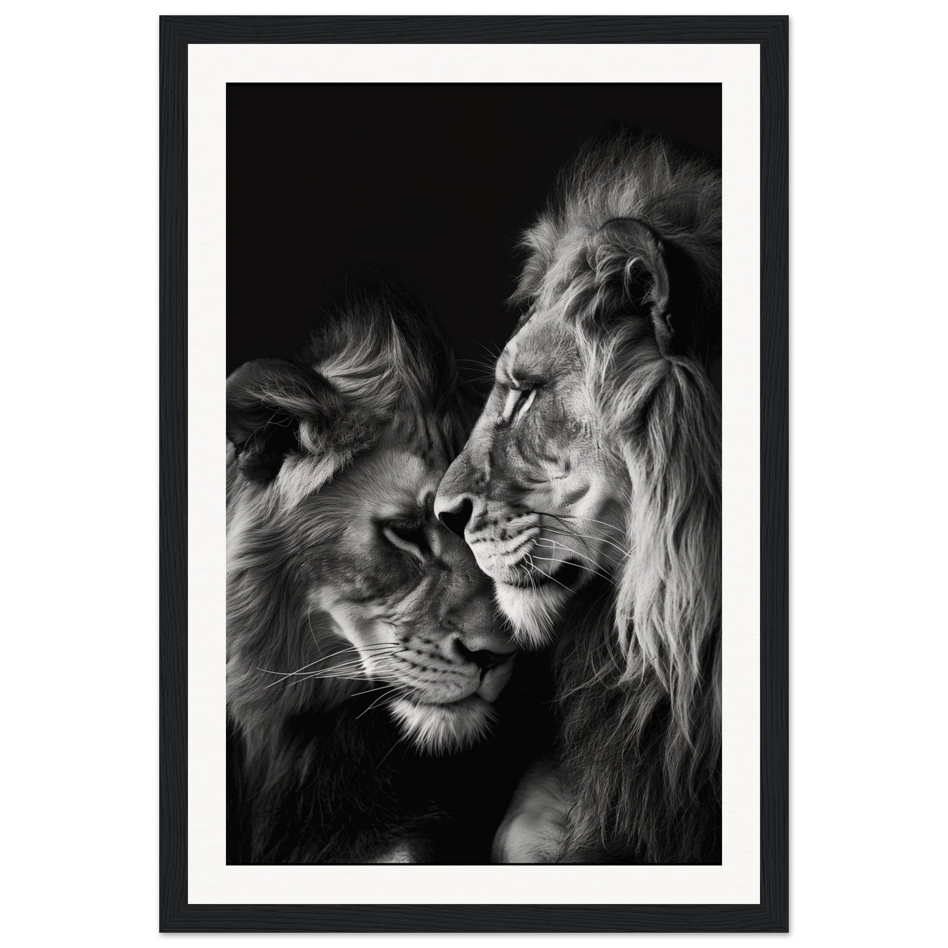 Poster Lion et Lionne Noir et Blanc ( 30x45-cm-Bois-noir)