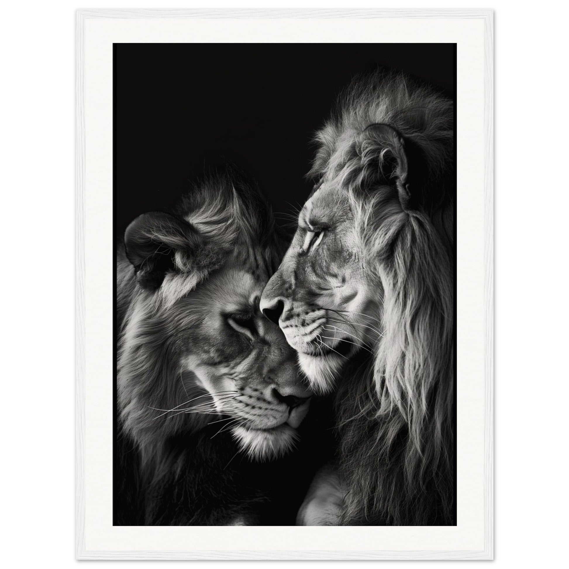 Poster Lion et Lionne Noir et Blanc ( 60x80-cm-Bois-blanc)