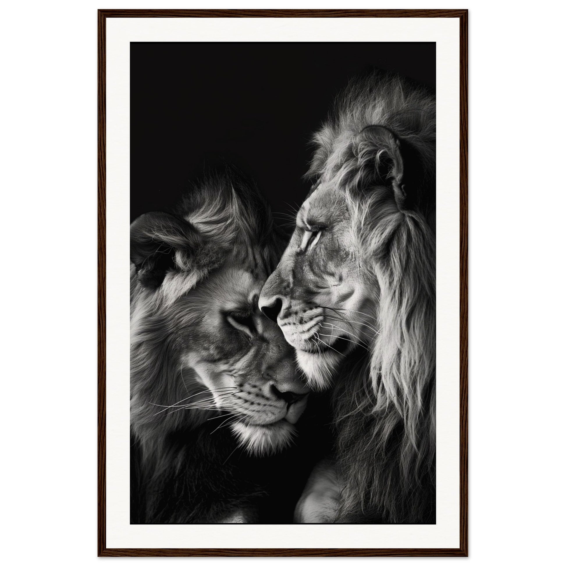 Poster Lion et Lionne Noir et Blanc ( 60x90-cm-Bois-foncé)