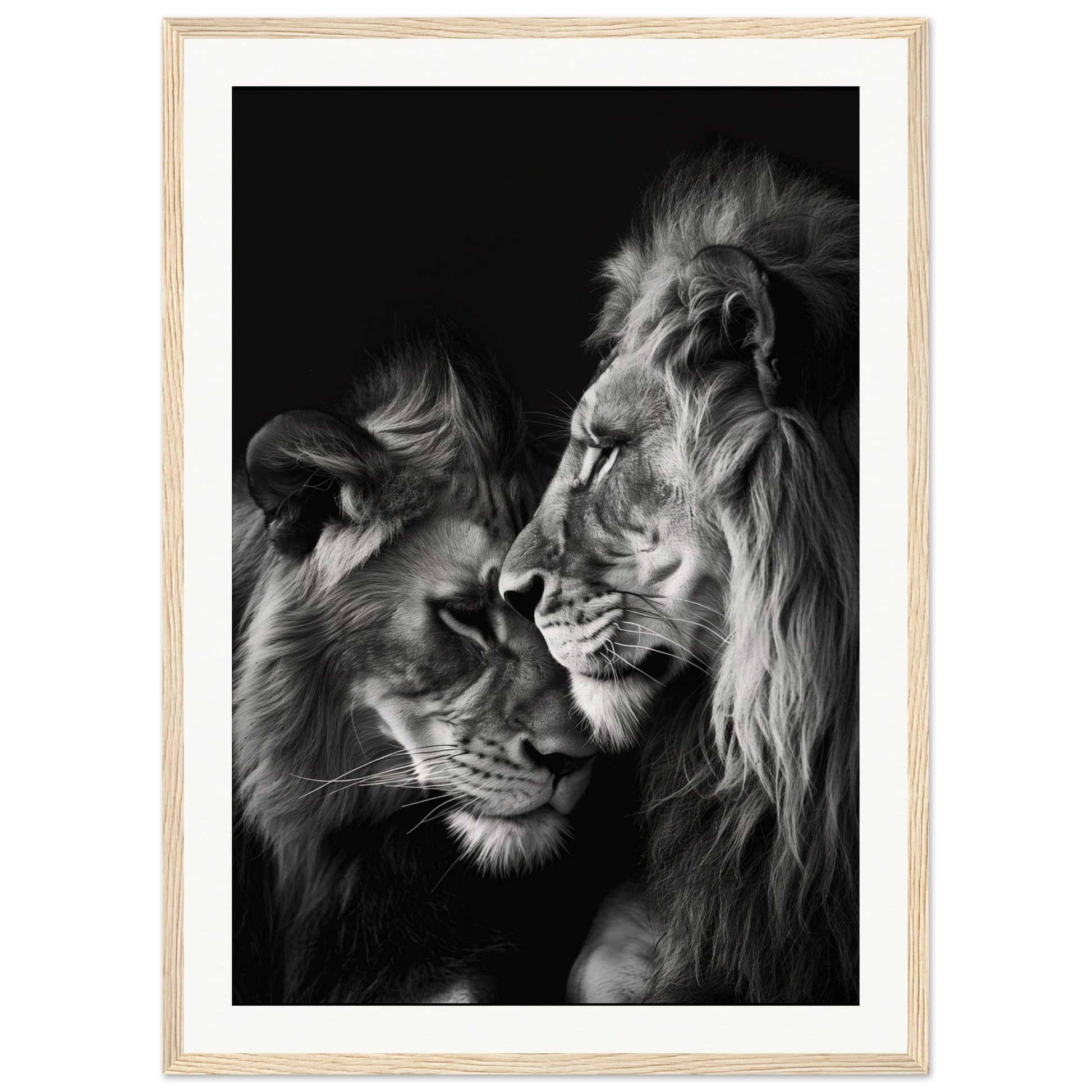 Poster Lion et Lionne Noir et Blanc ( 50x70-cm-Bois-clair)