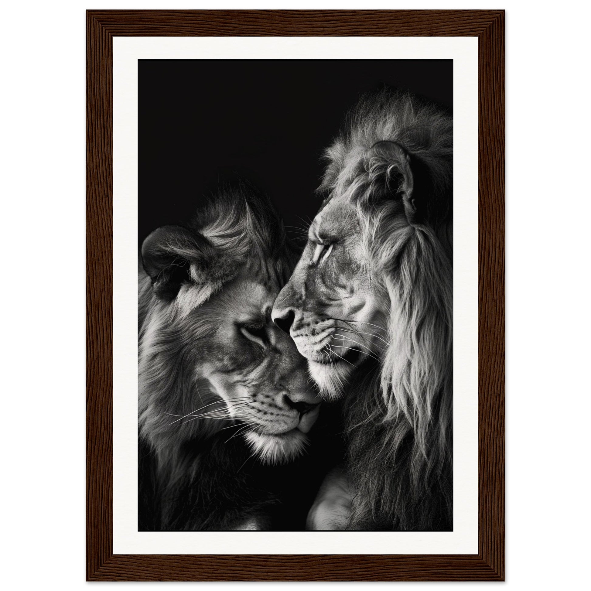 Poster Lion et Lionne Noir et Blanc ( 21x29.7-cm-Bois-foncé)