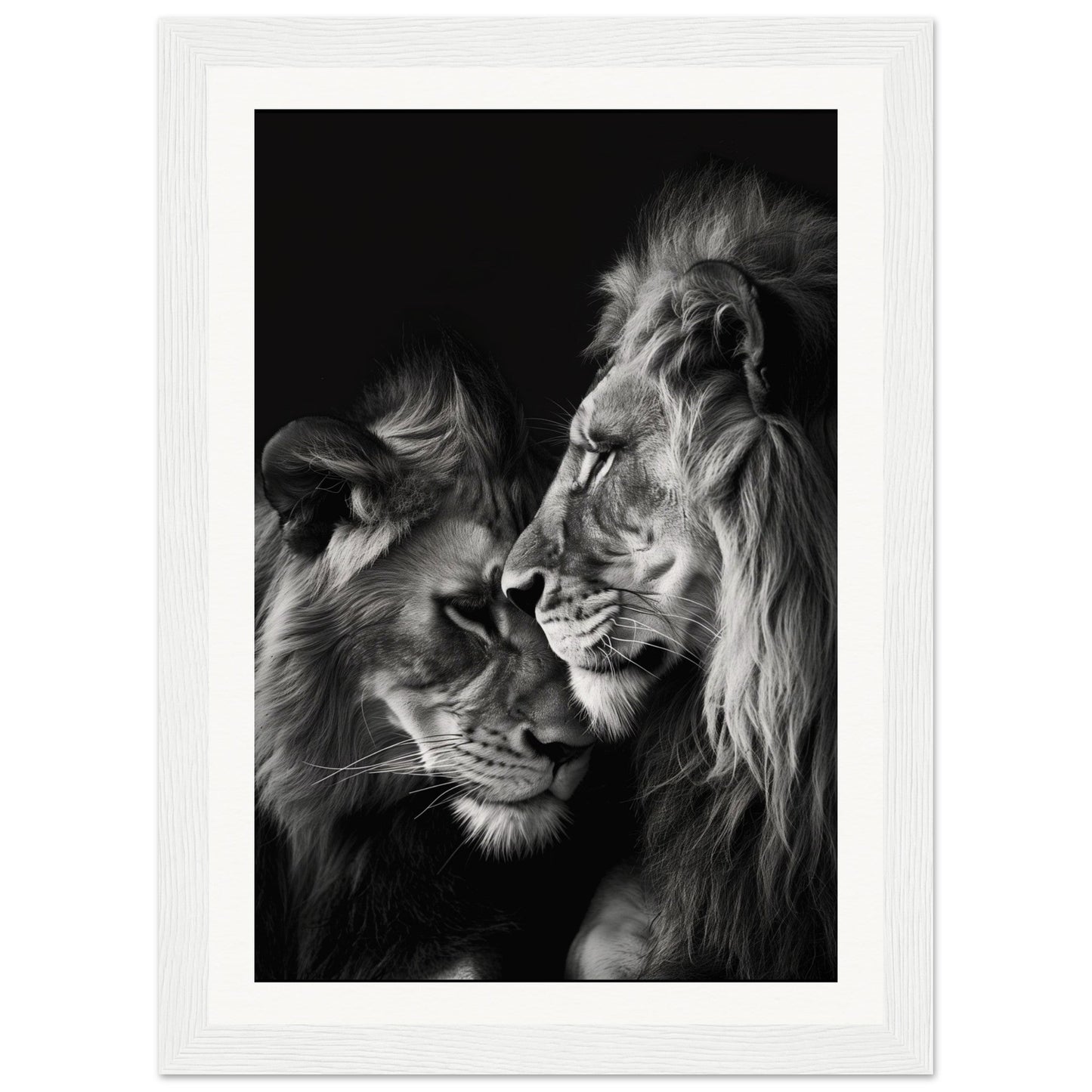 Poster Lion et Lionne Noir et Blanc ( 21x29.7-cm-Bois-blanc)