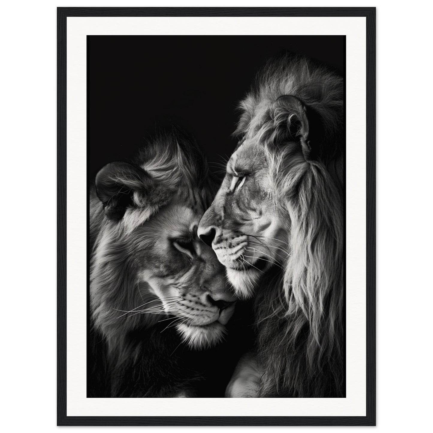 Poster Lion et Lionne Noir et Blanc ( 45x60-cm-Bois-noir)