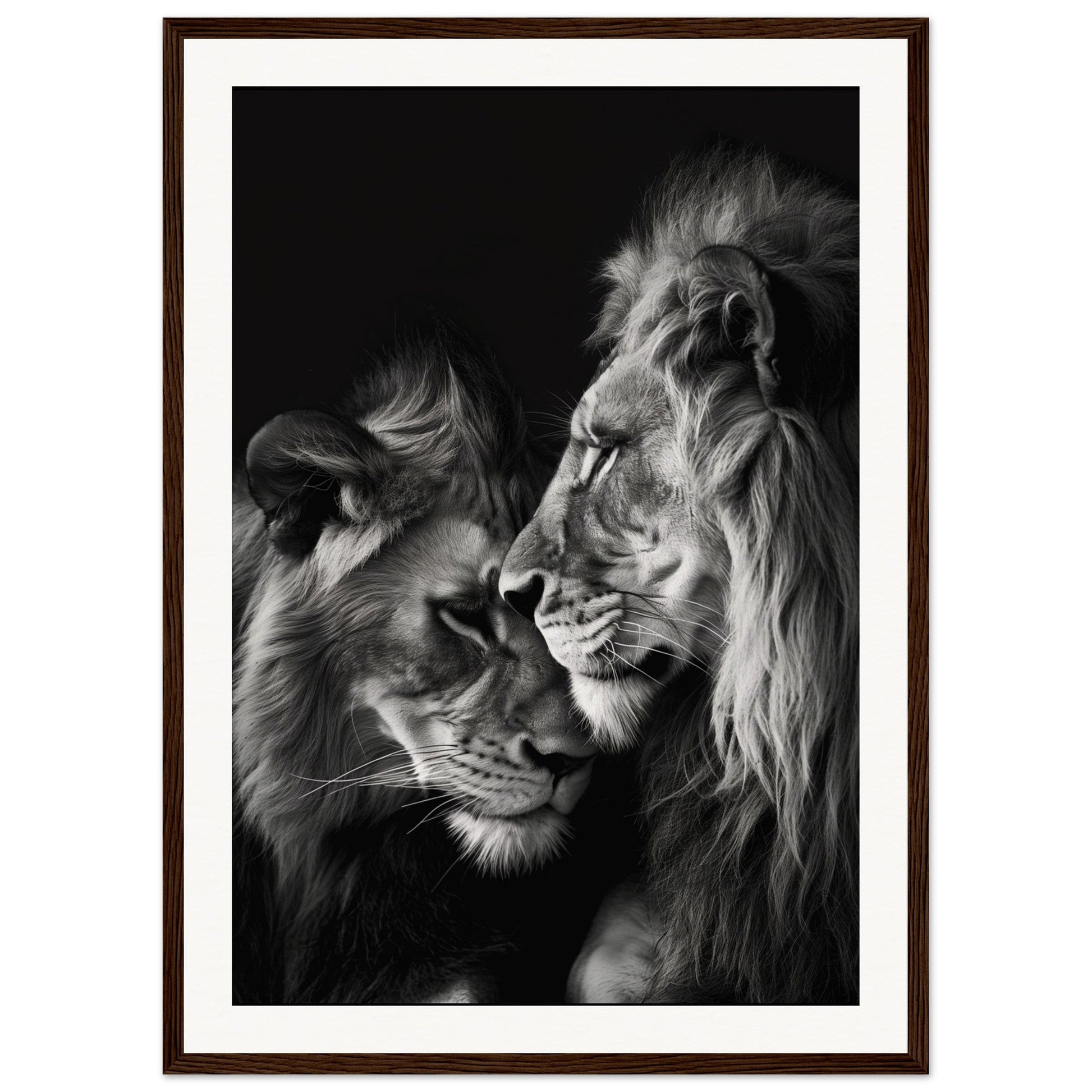 Poster Lion et Lionne Noir et Blanc ( 50x70-cm-Bois-foncé)