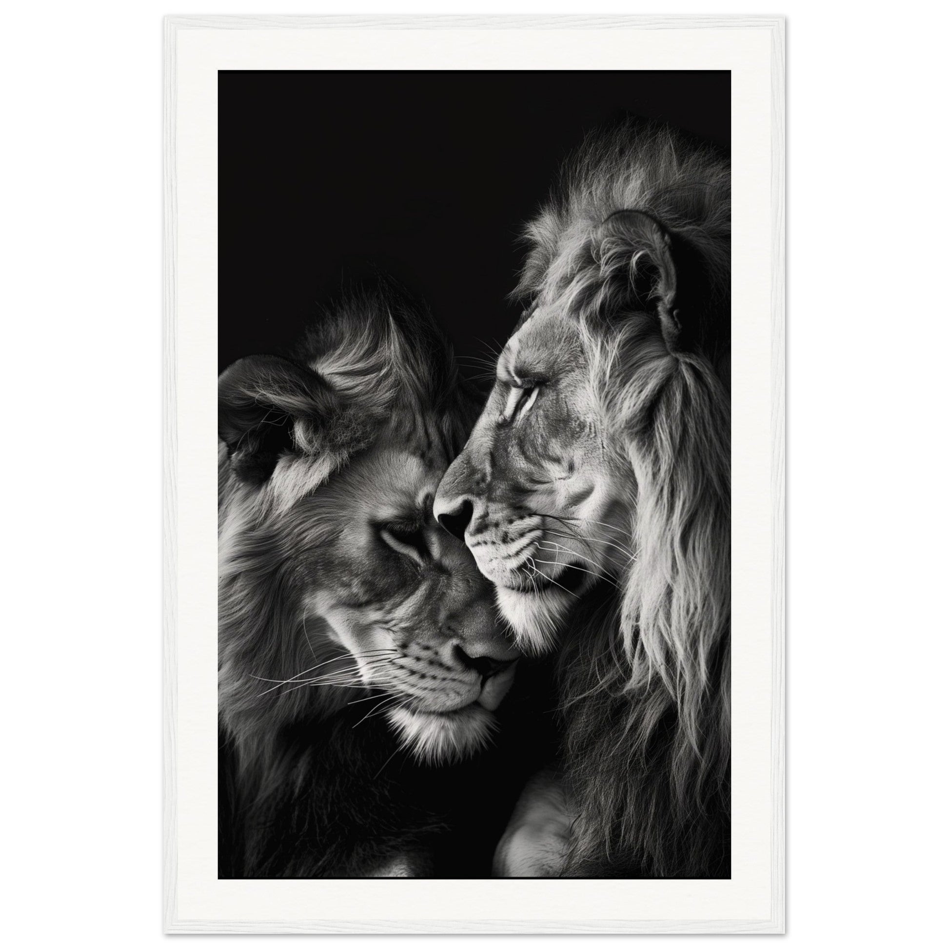 Poster Lion et Lionne Noir et Blanc ( 60x90-cm-Bois-blanc)