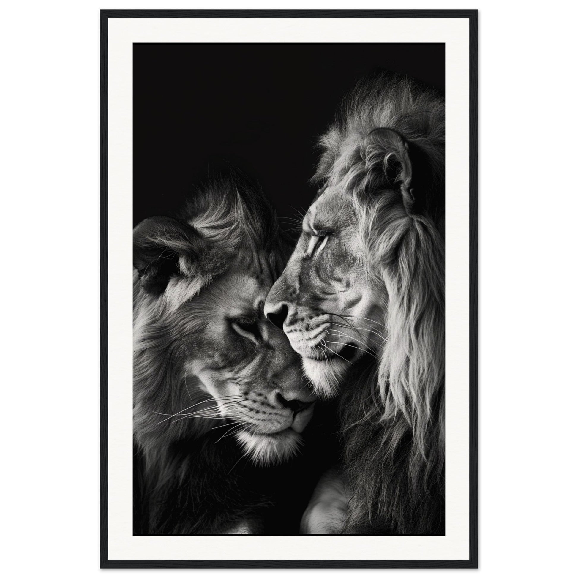 Poster Lion et Lionne Noir et Blanc ( 60x90-cm-Bois-noir)