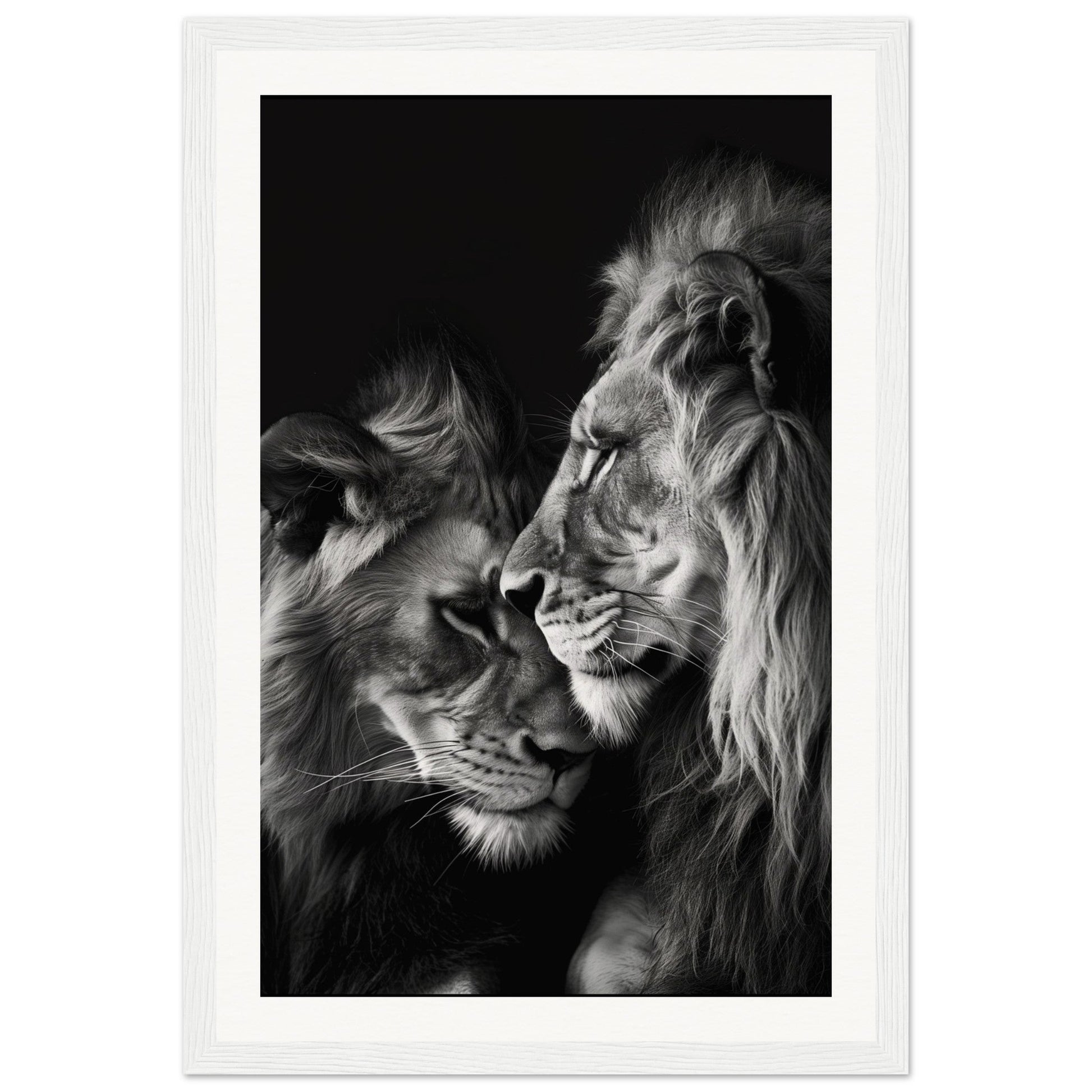 Poster Lion et Lionne Noir et Blanc ( 30x45-cm-Bois-blanc)