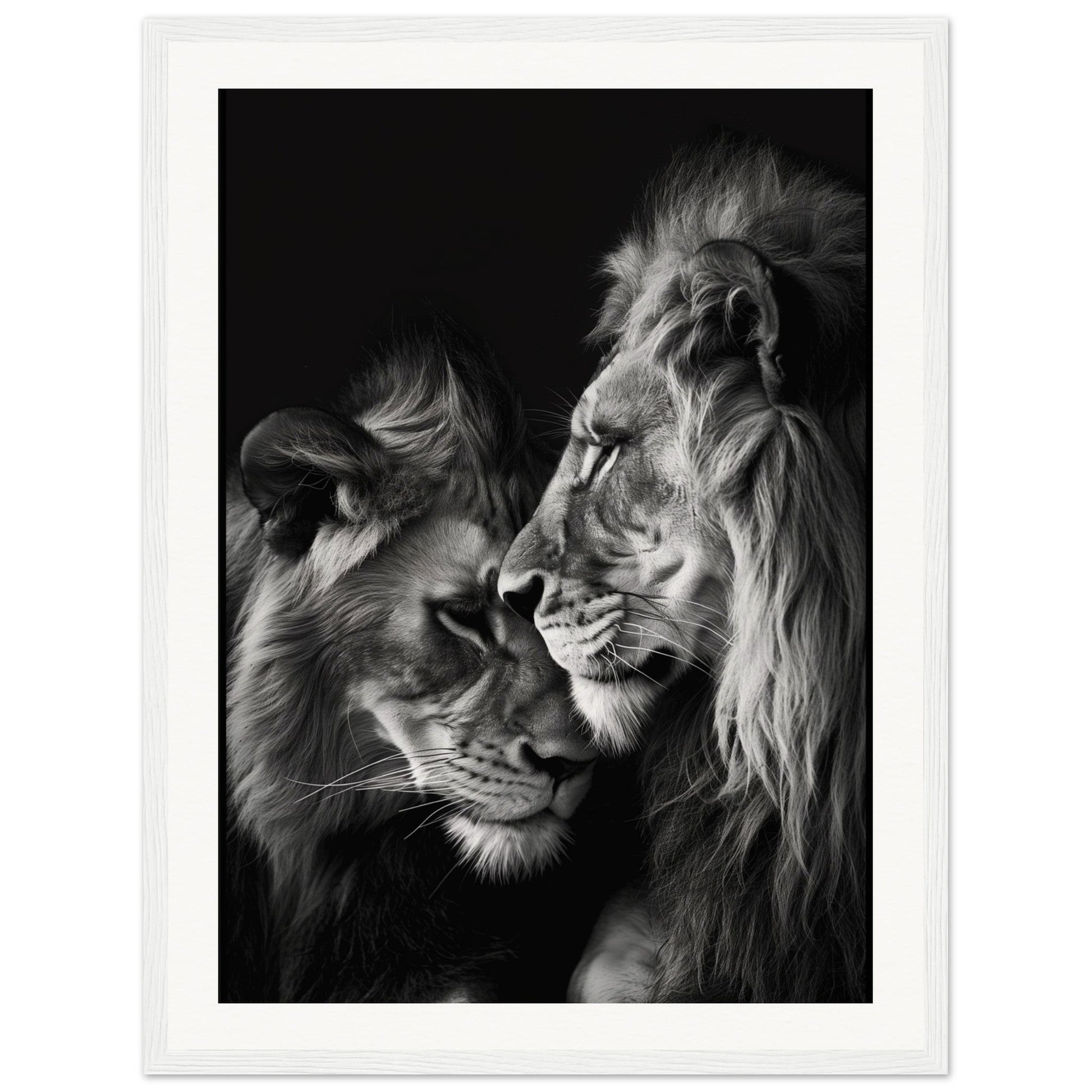 Poster Lion et Lionne Noir et Blanc ( 45x60-cm-Bois-blanc)