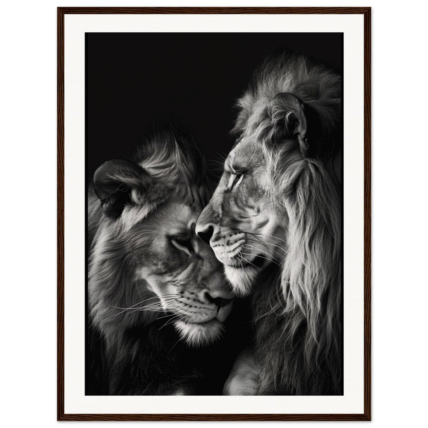 Poster Lion et Lionne Noir et Blanc ( 60x80-cm-Bois-foncé)