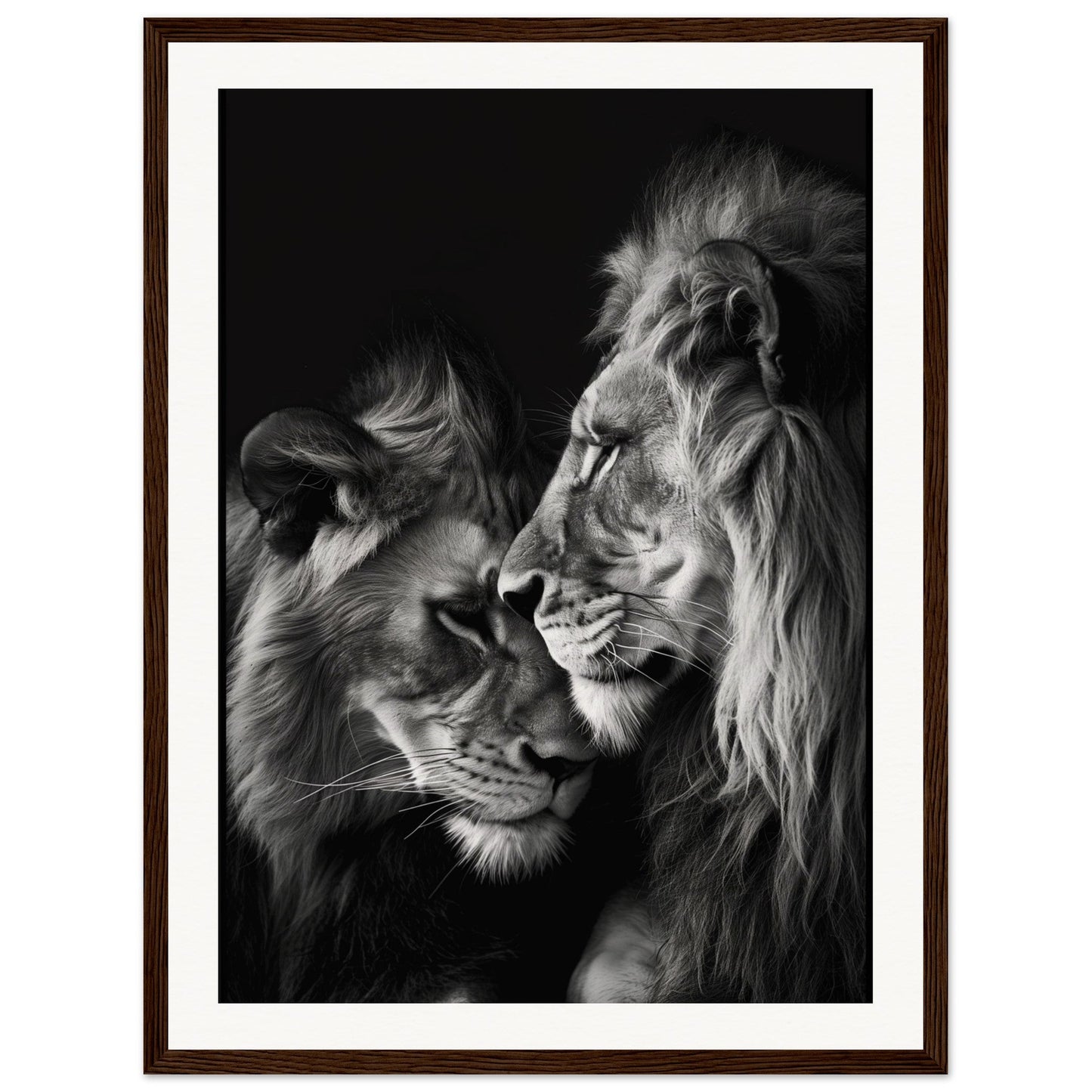 Poster Lion et Lionne Noir et Blanc ( 45x60-cm-Bois-foncé)