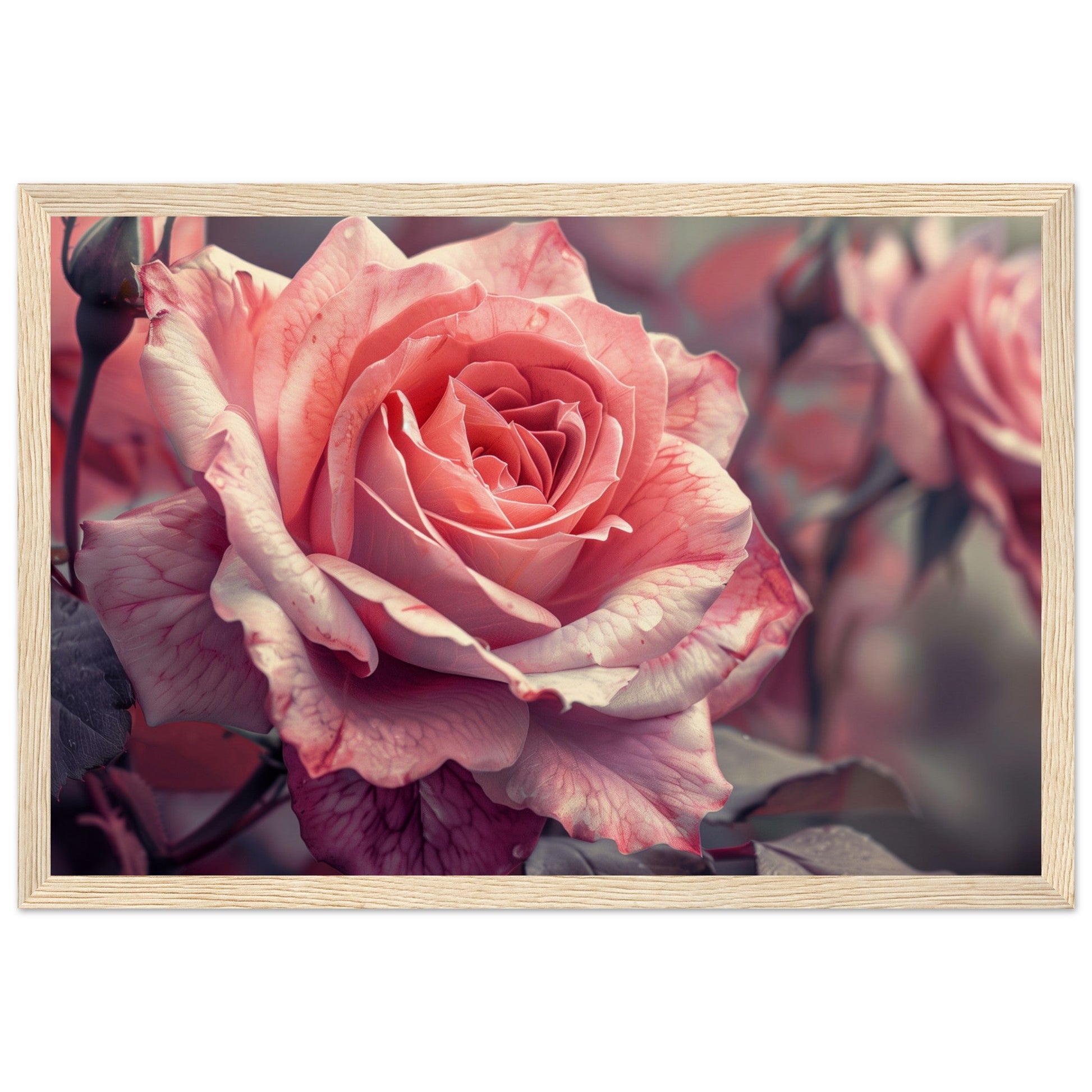 Poster Mural Rose ( 30x45-cm-Bois-clair)