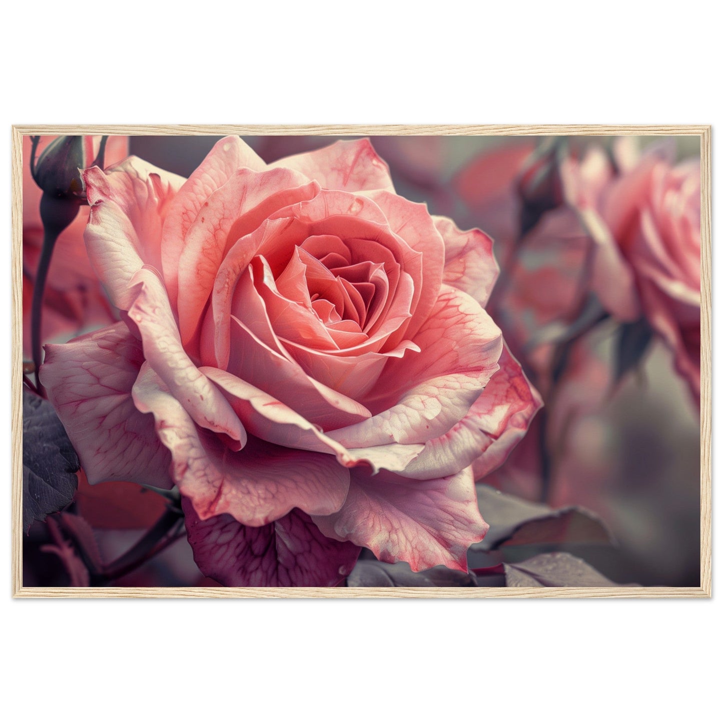 Poster Mural Rose ( 60x90-cm-Bois-clair)