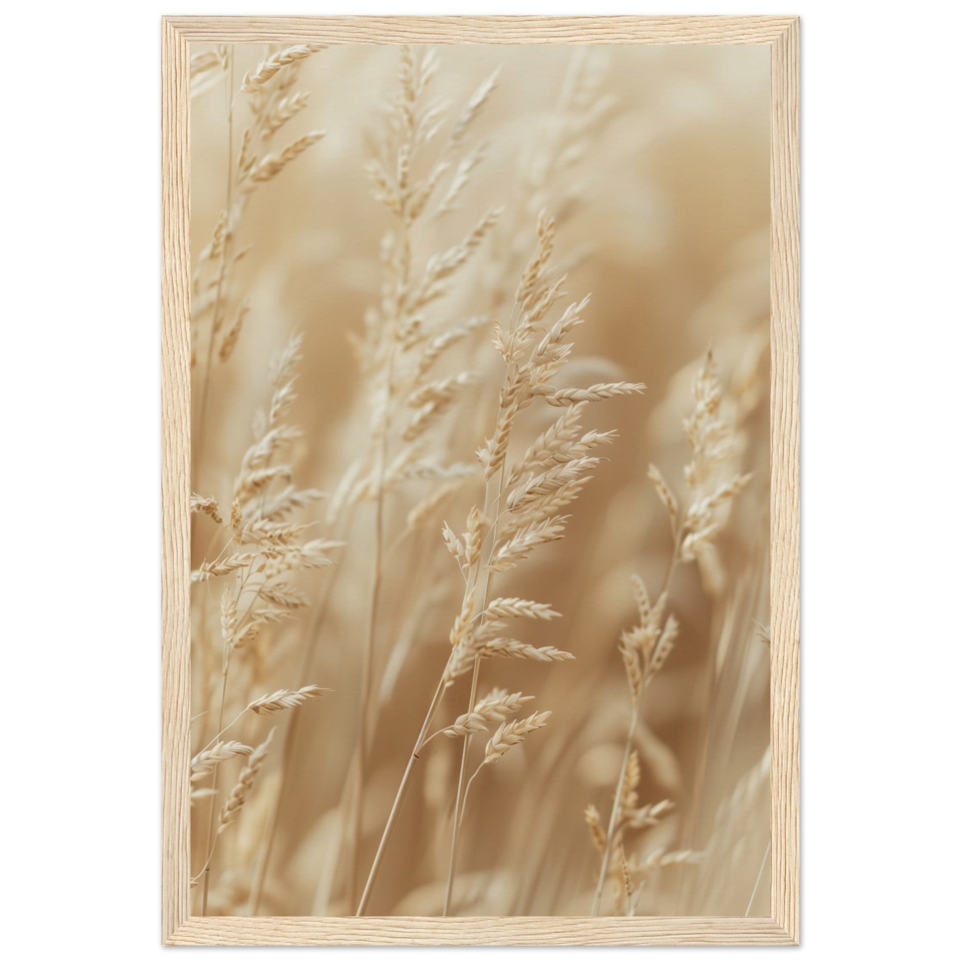 Poster Nature Beige ( 30x45-cm-Bois-clair)