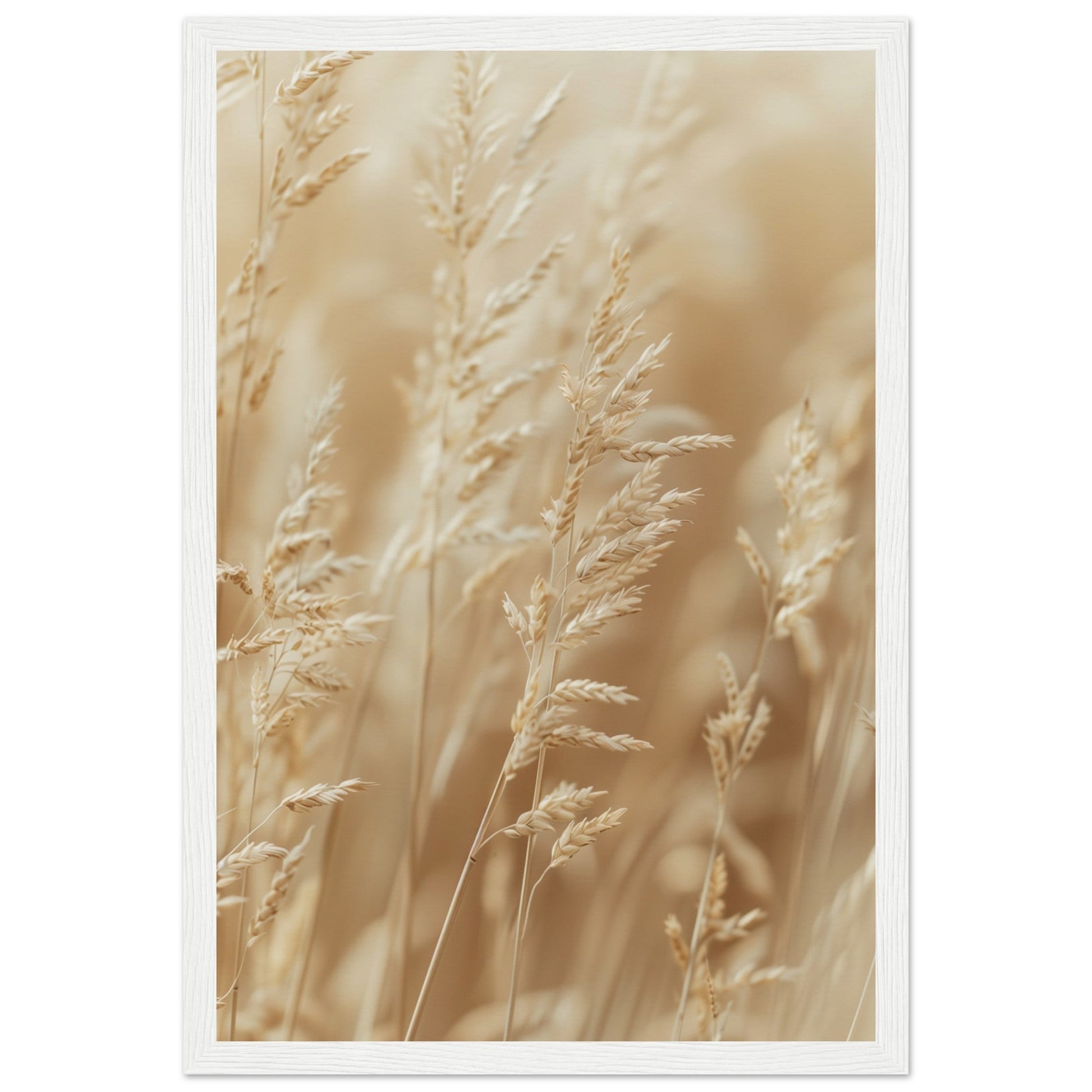 Poster Nature Beige ( 30x45-cm-Bois-blanc)