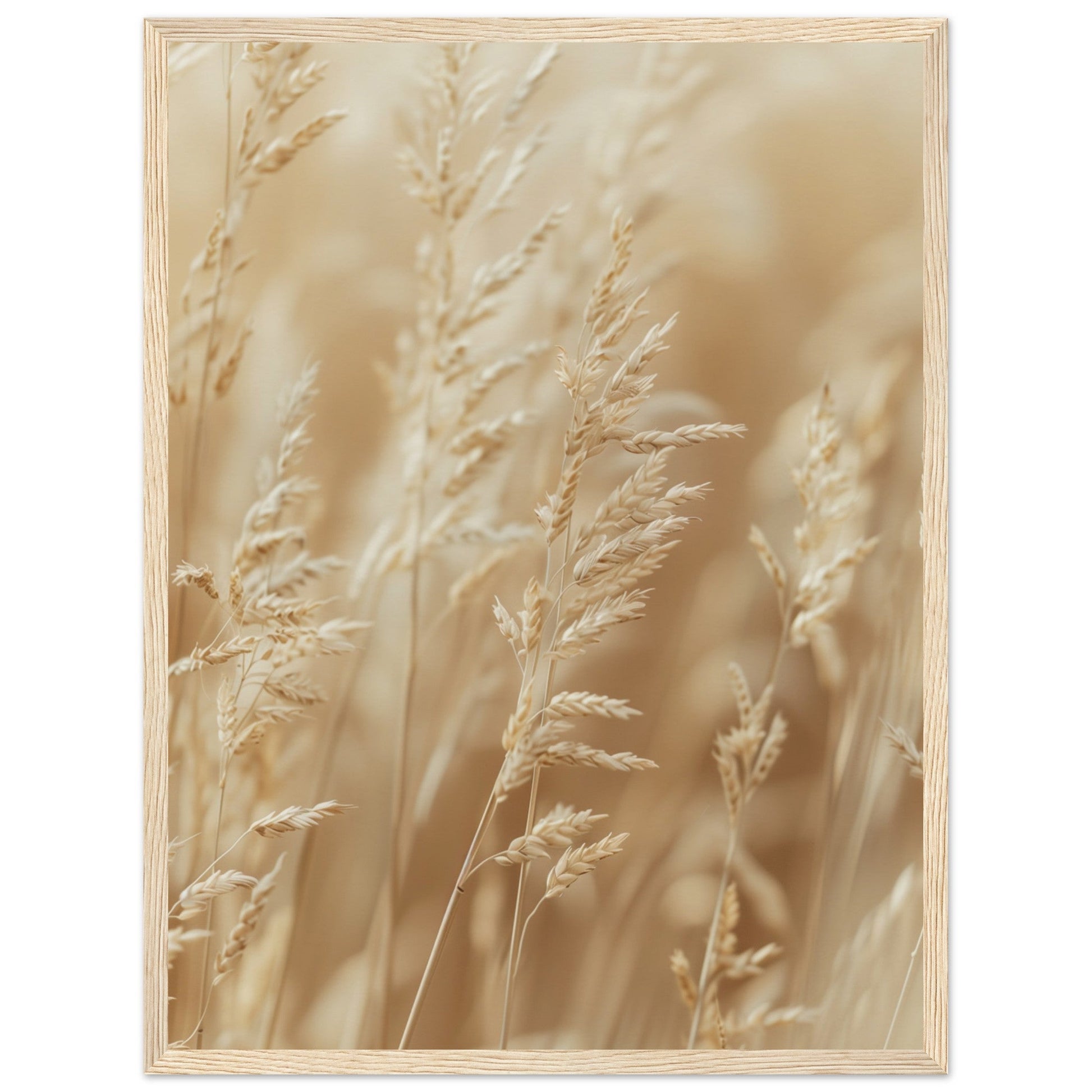 Poster Nature Beige ( 45x60-cm-Bois-clair)