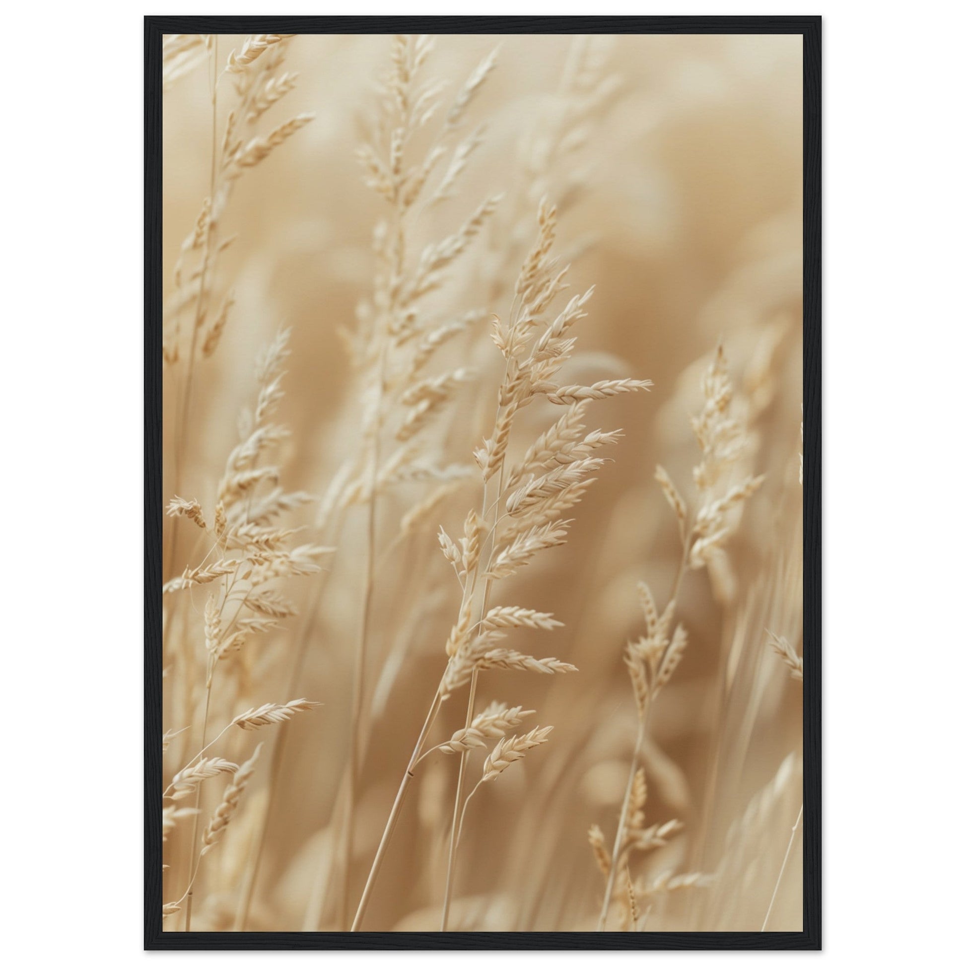 Poster Nature Beige ( 50x70-cm-Bois-noir)