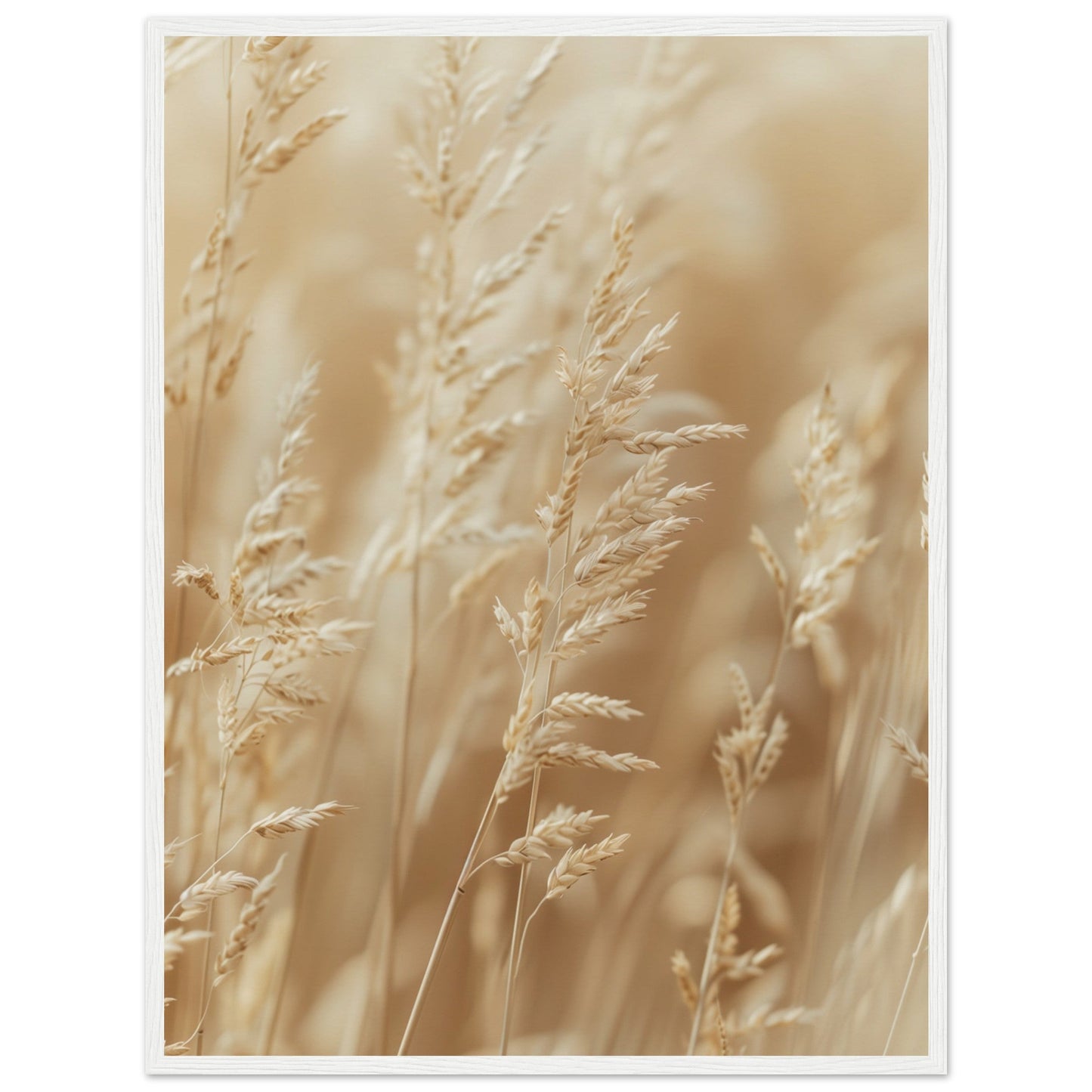 Poster Nature Beige ( 60x80-cm-Bois-blanc)