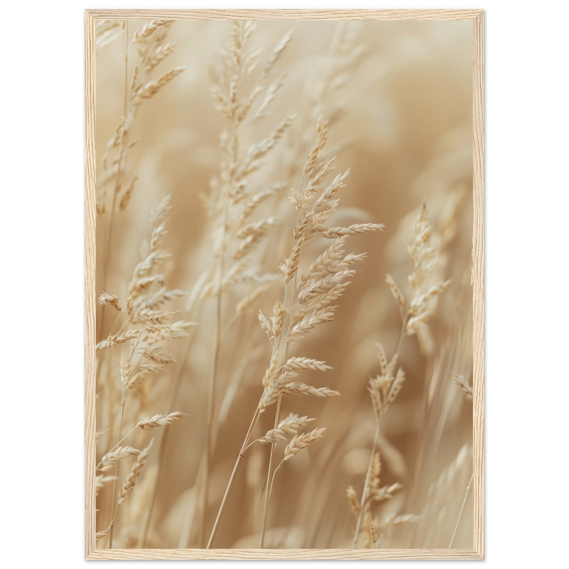 Poster Nature Beige ( 50x70-cm-Bois-clair)