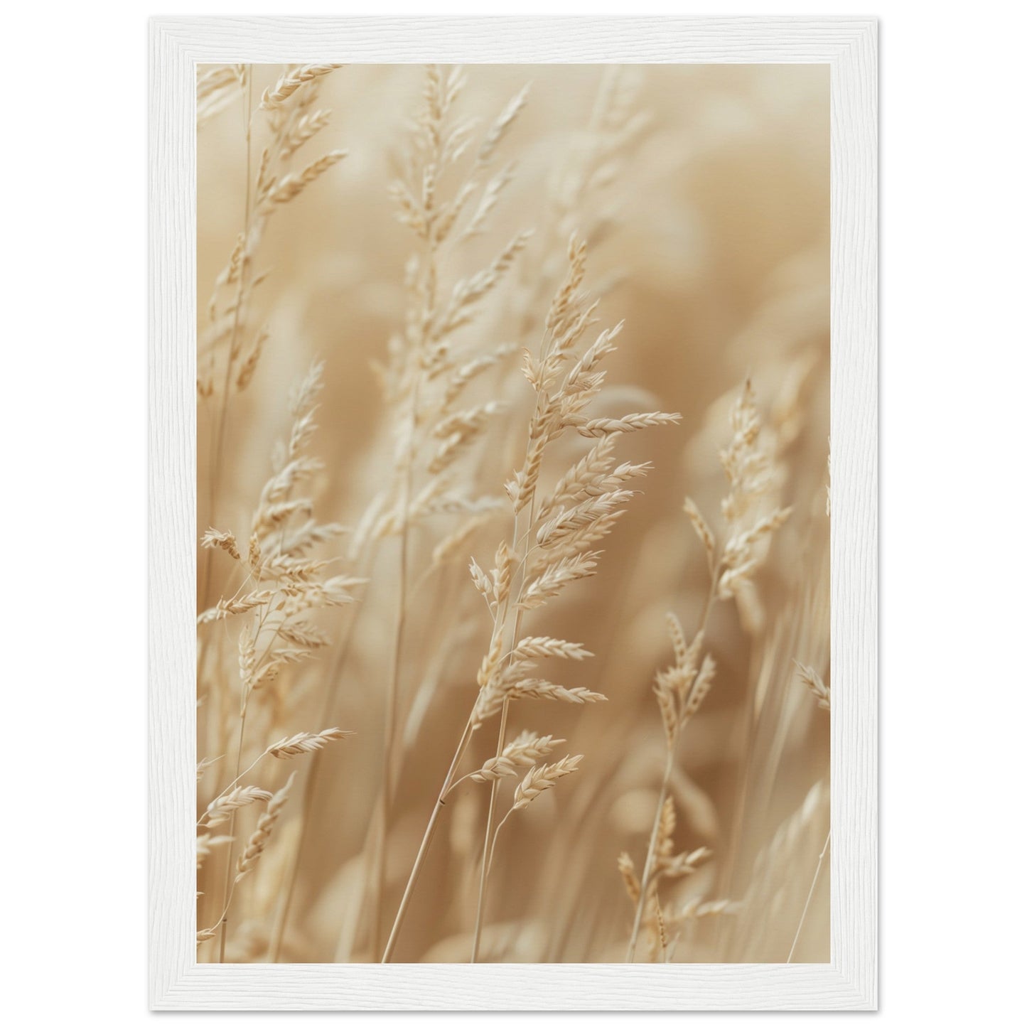 Poster Nature Beige ( 21x29.7-cm-Bois-blanc)