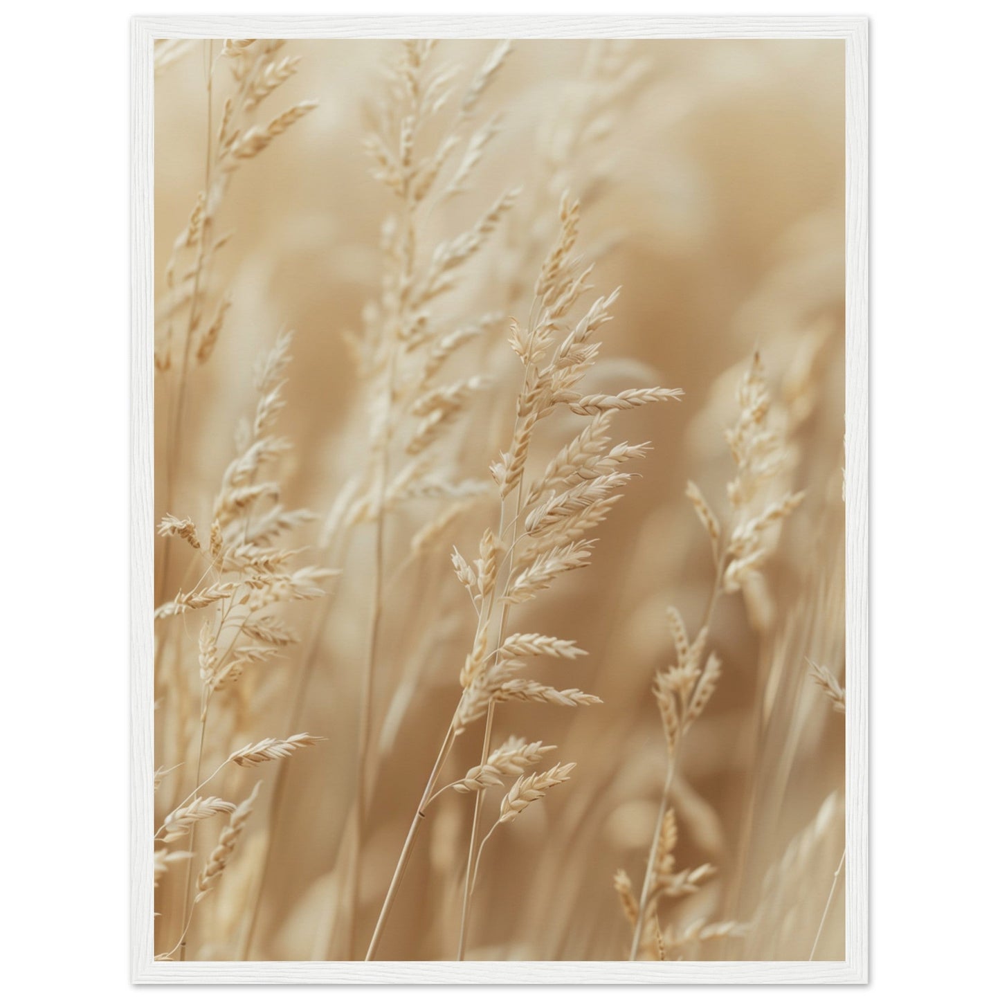 Poster Nature Beige ( 45x60-cm-Bois-blanc)