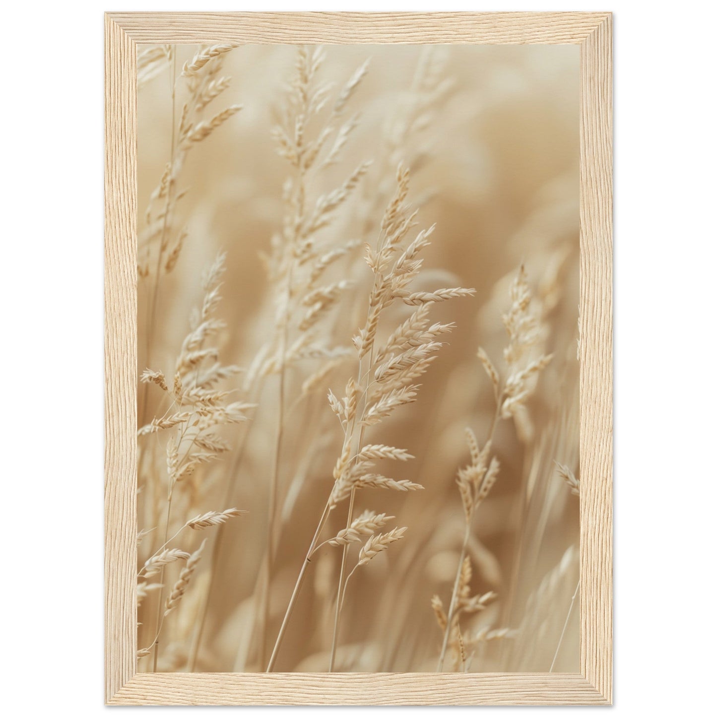 Poster Nature Beige ( 21x29.7-cm-Bois-clair)