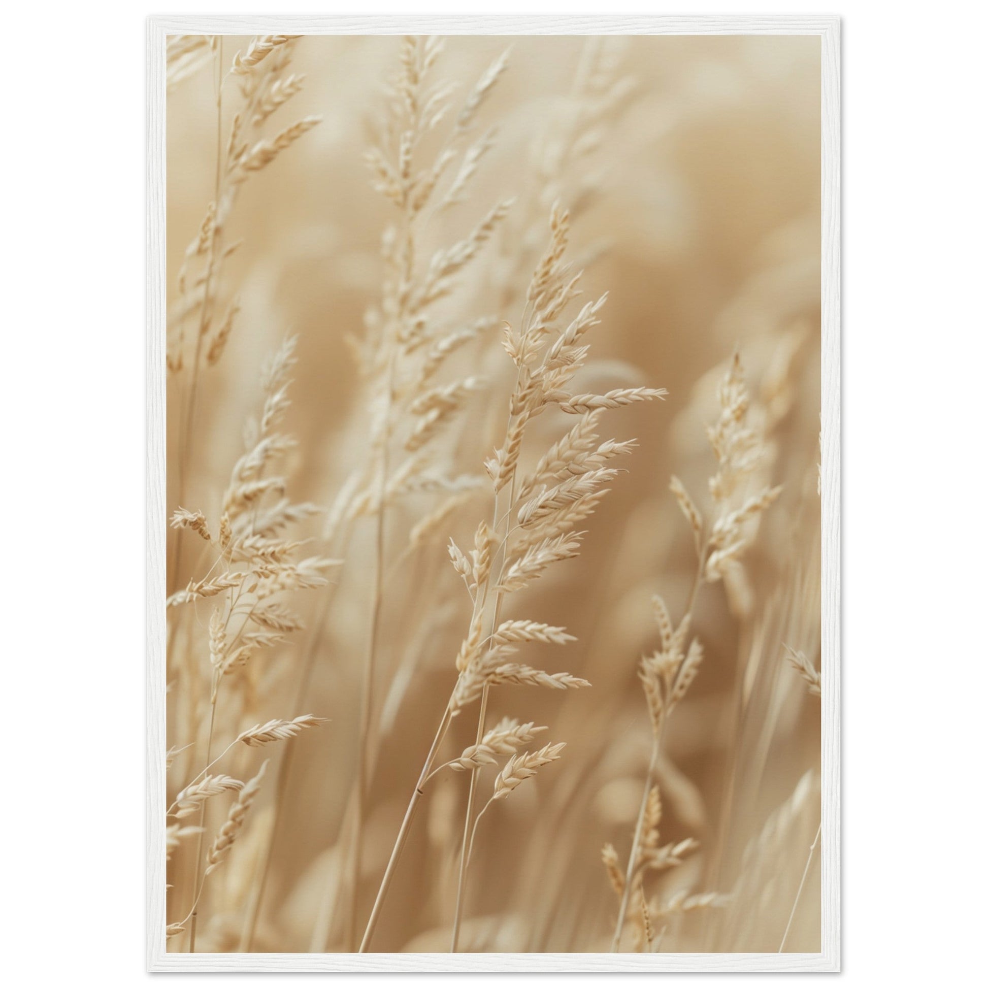 Poster Nature Beige ( 50x70-cm-Bois-blanc)