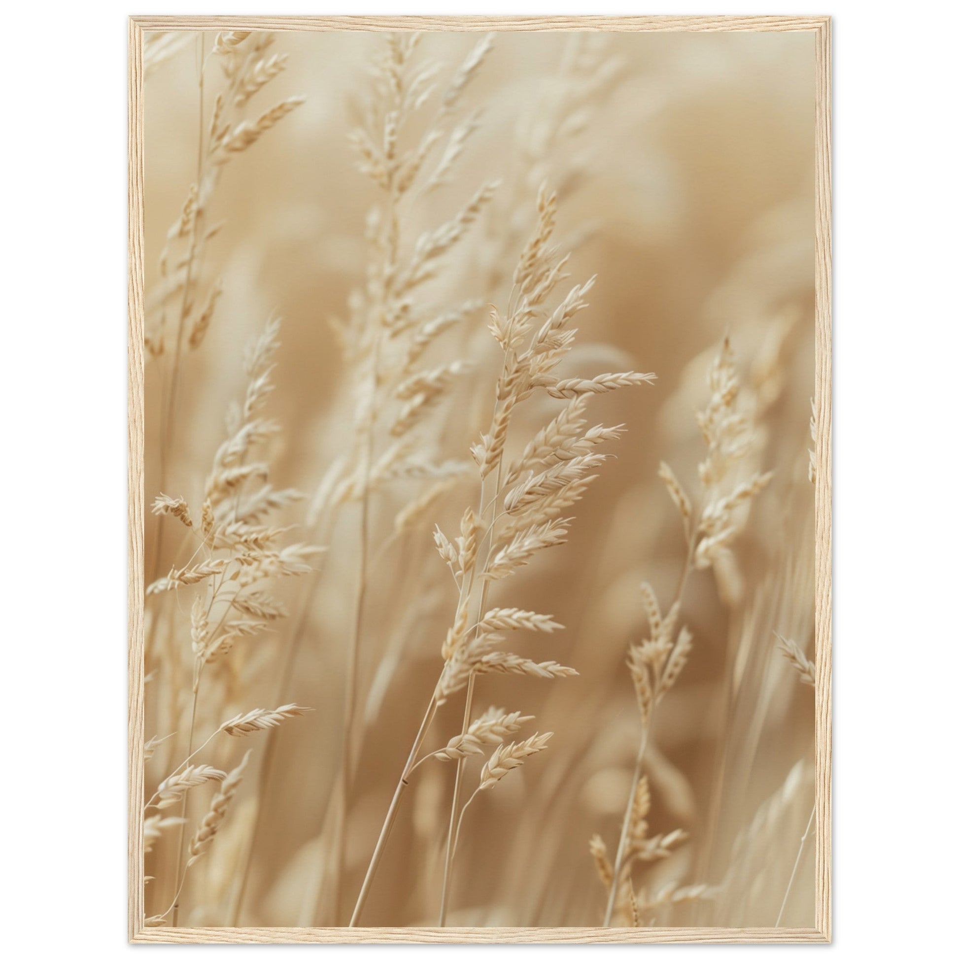 Poster Nature Beige ( 60x80-cm-Bois-clair)