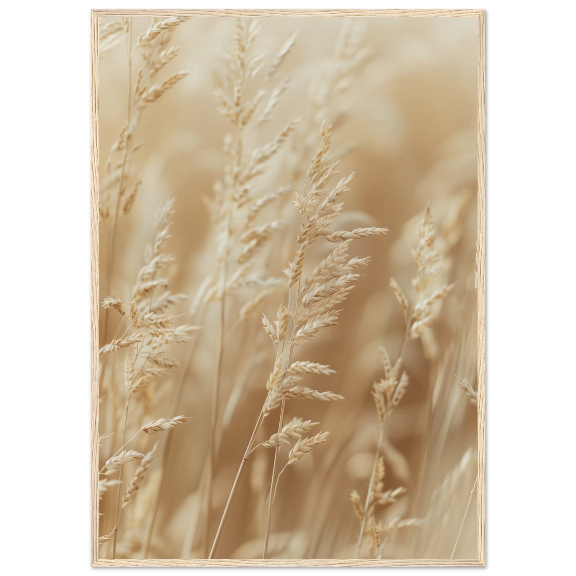 Poster Nature Beige ( 70x100-cm-Bois-clair)