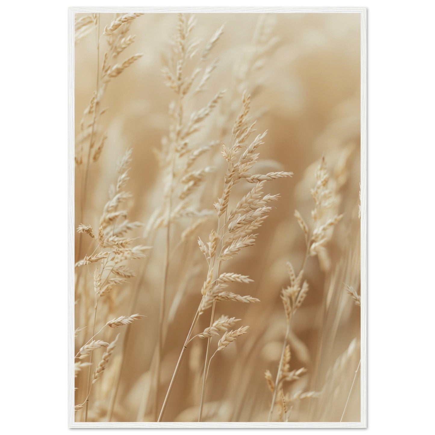 Poster Nature Beige ( 70x100-cm-Bois-blanc)