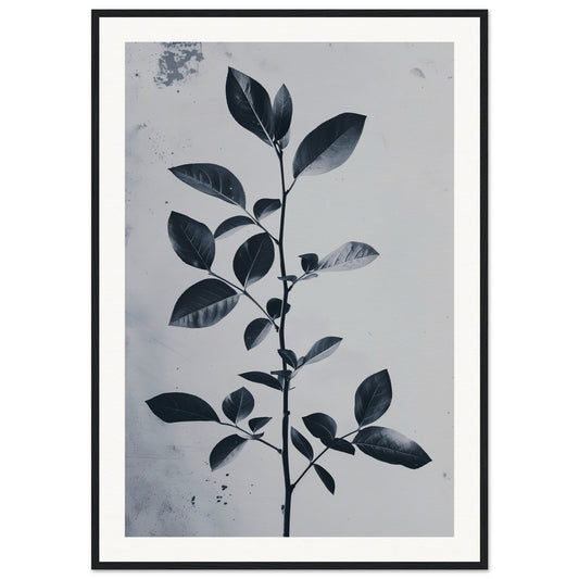 Poster Nature Design ( 70x100-cm-Bois-noir)