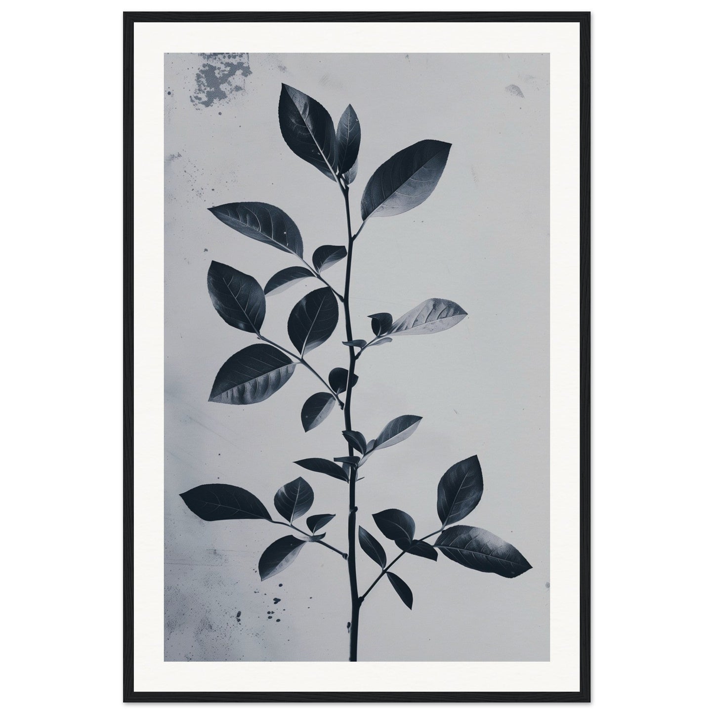 Poster Nature Design ( 60x90-cm-Bois-noir)