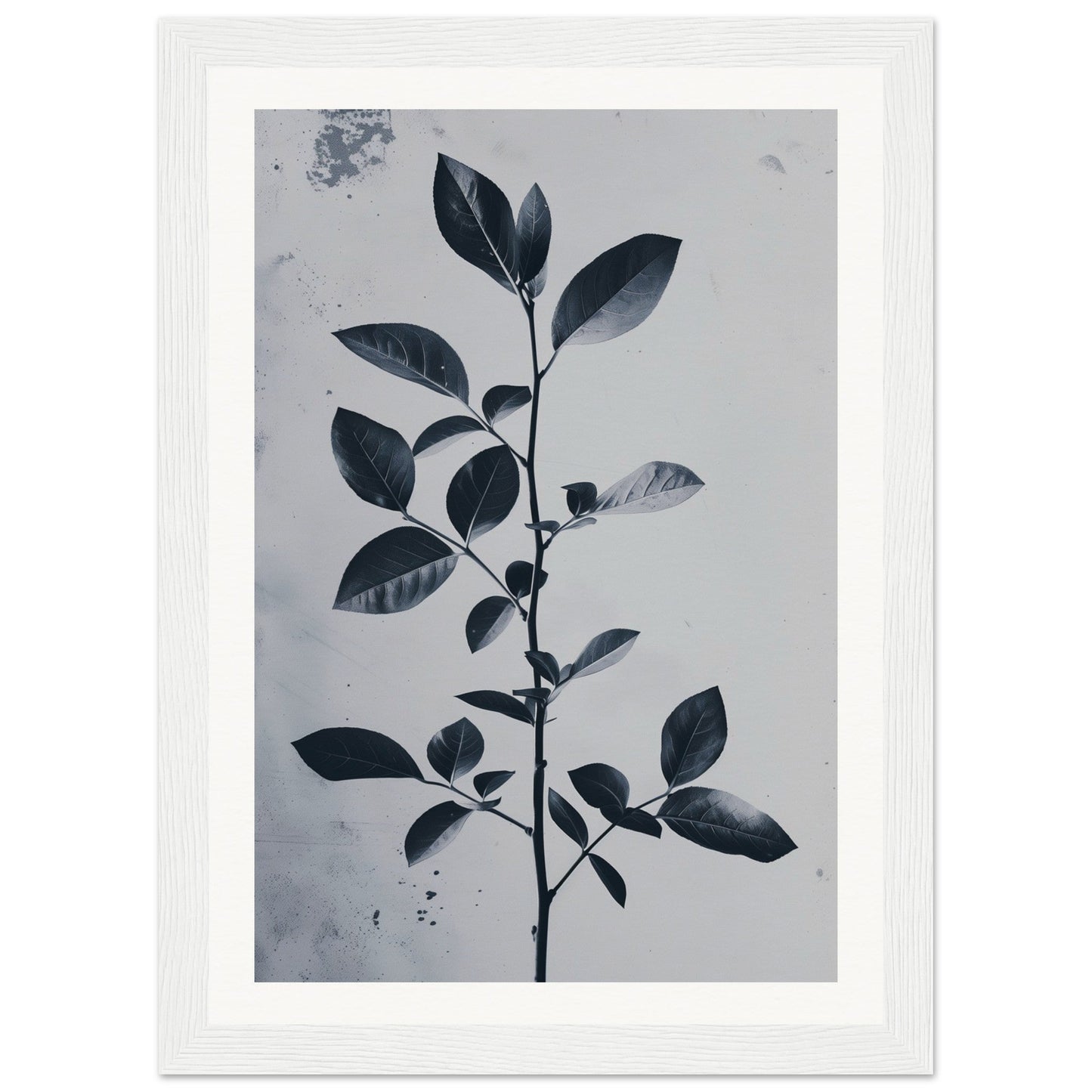 Poster Nature Design ( 21x29.7-cm-Bois-blanc)