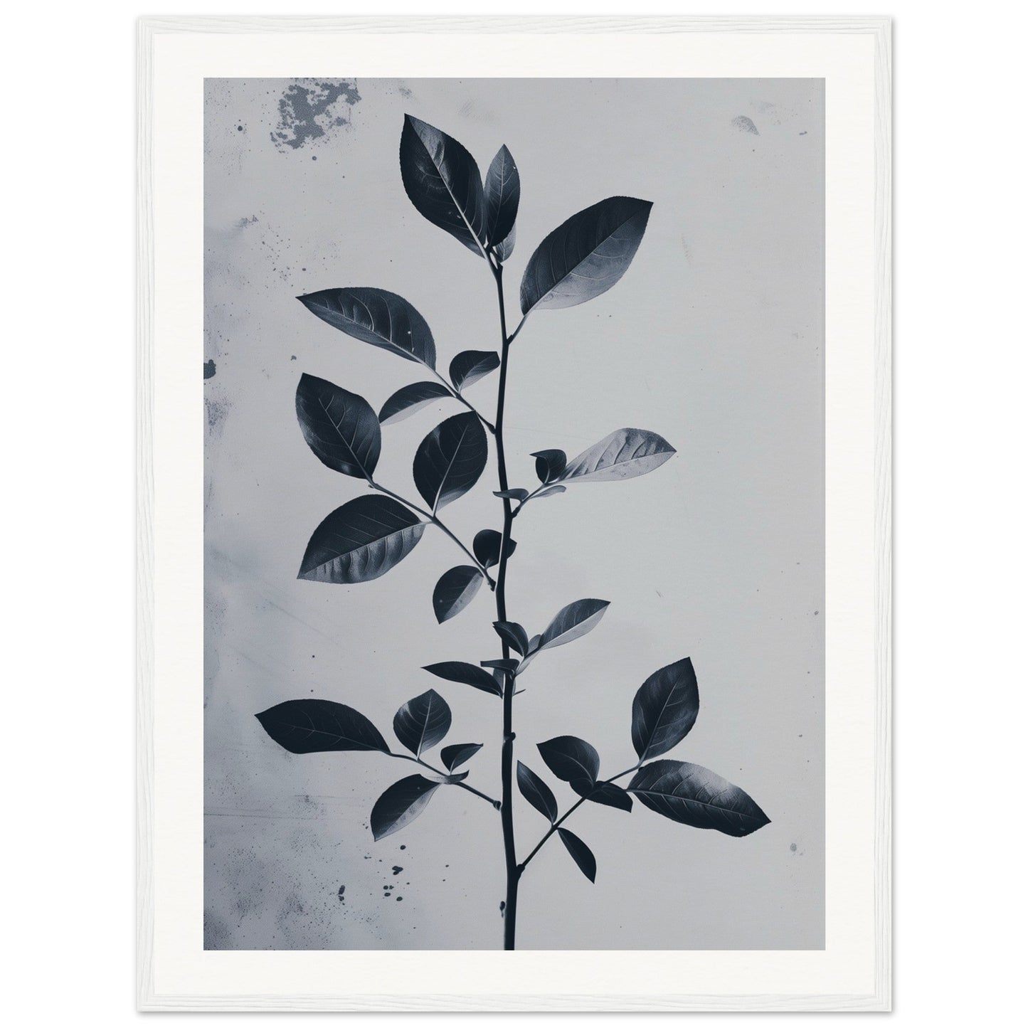 Poster Nature Design ( 60x80-cm-Bois-blanc)