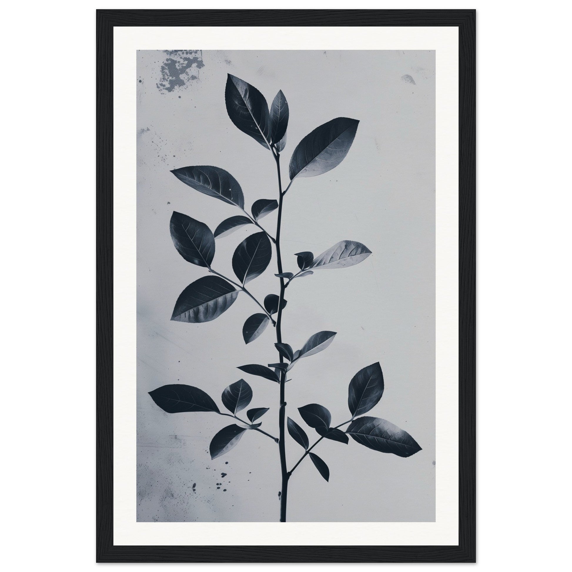 Poster Nature Design ( 30x45-cm-Bois-noir)