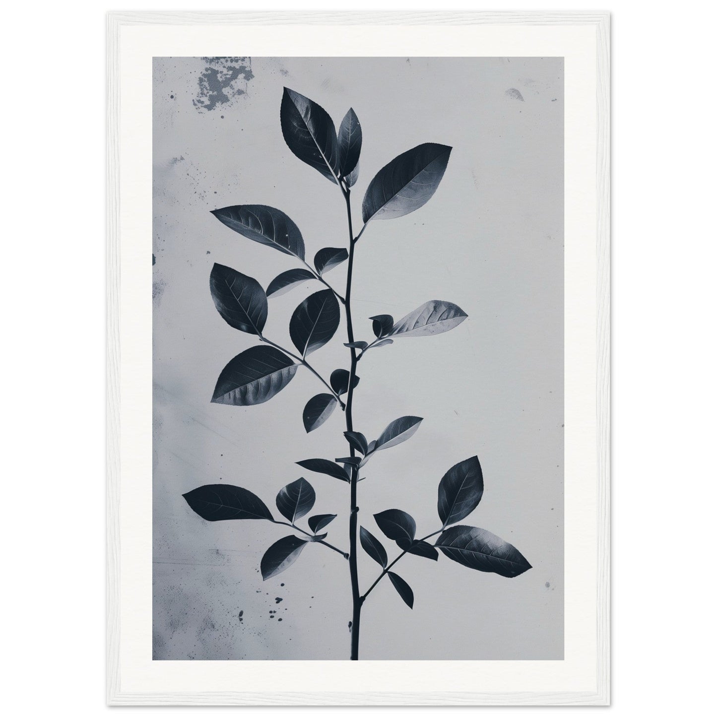 Poster Nature Design ( 50x70-cm-Bois-blanc)