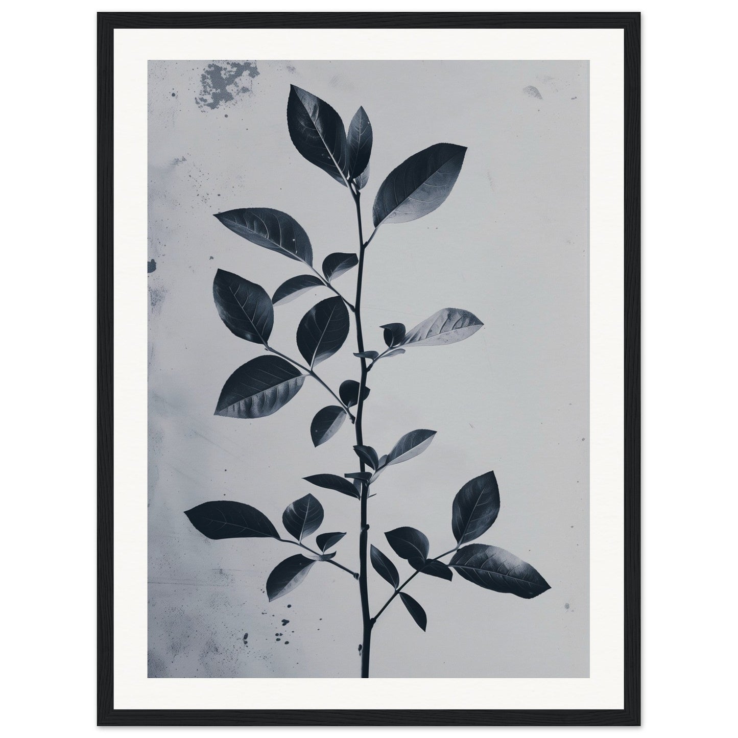 Poster Nature Design ( 45x60-cm-Bois-noir)