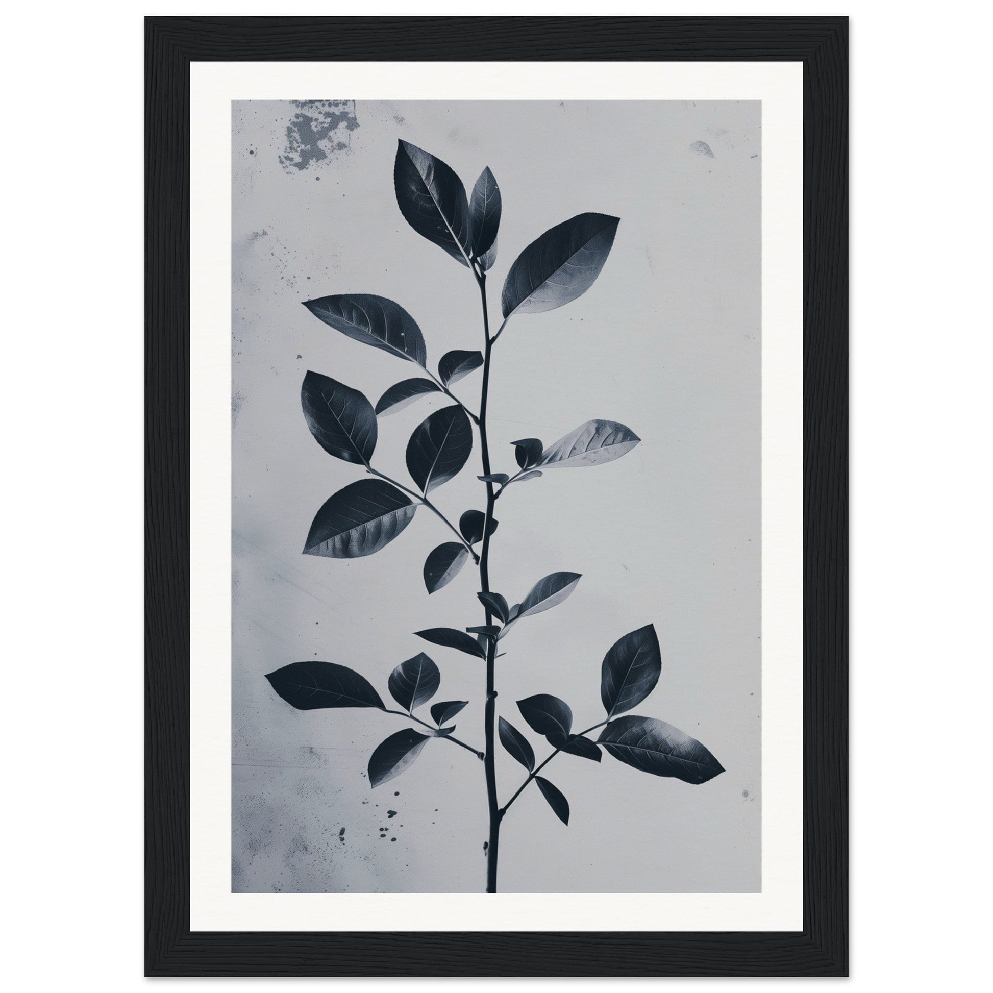 Poster Nature Design ( 21x29.7-cm-Bois-noir)