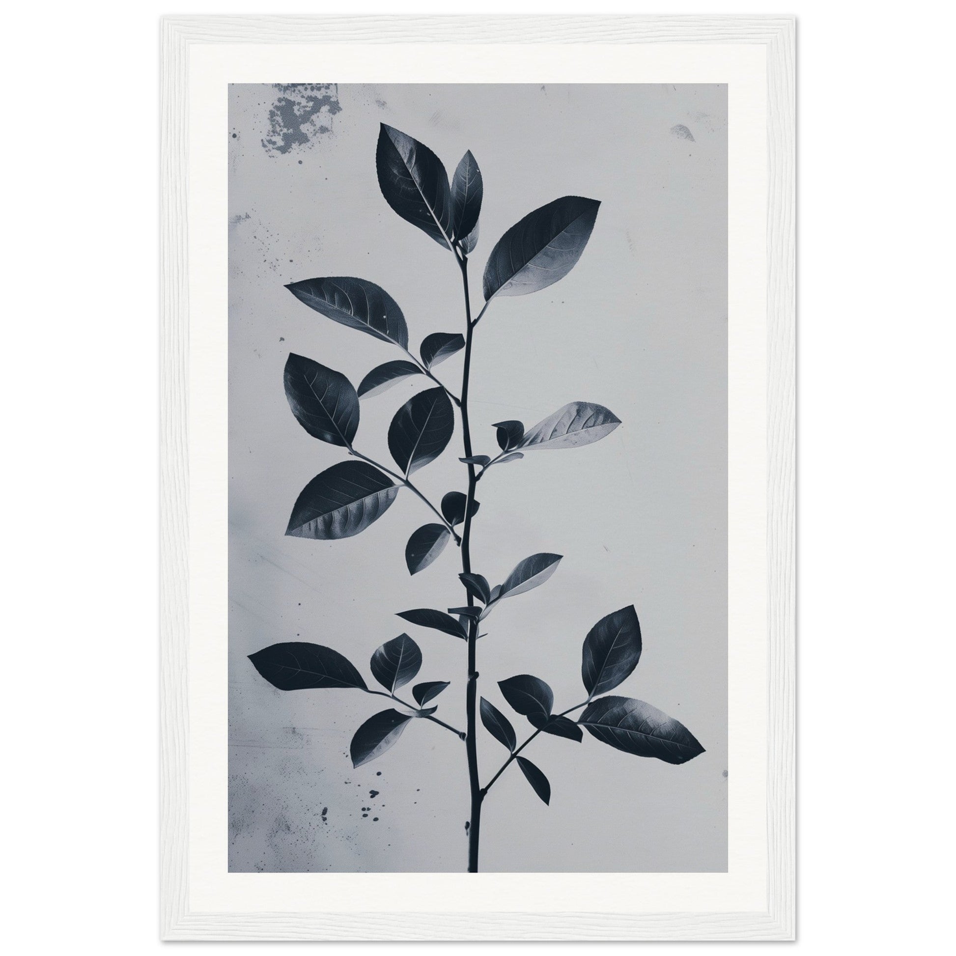 Poster Nature Design ( 30x45-cm-Bois-blanc)