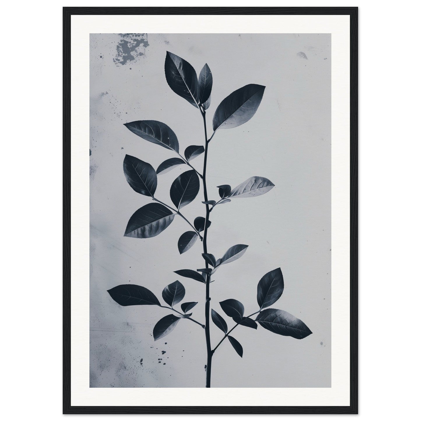 Poster Nature Design ( 50x70-cm-Bois-noir)