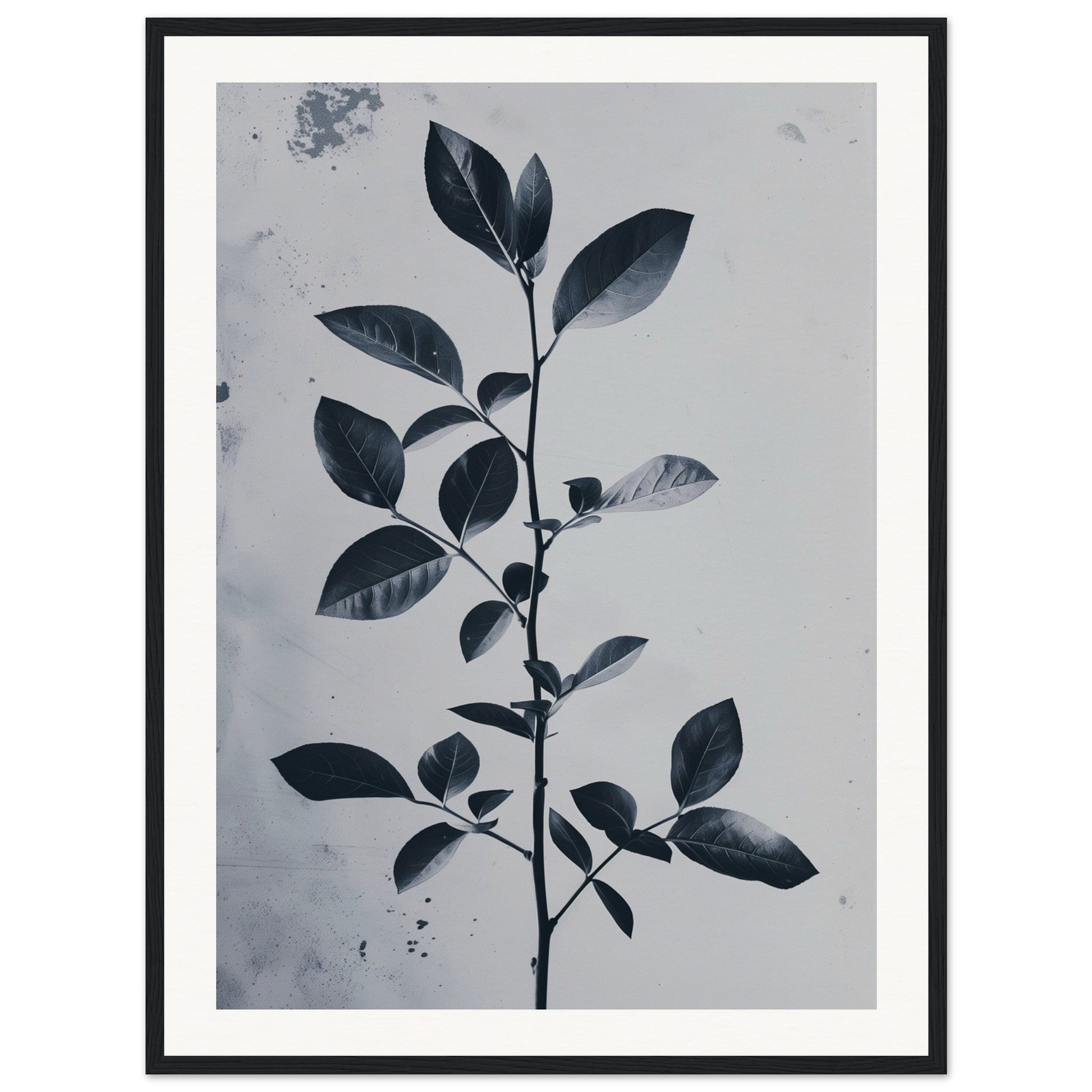 Poster Nature Design ( 60x80-cm-Bois-noir)