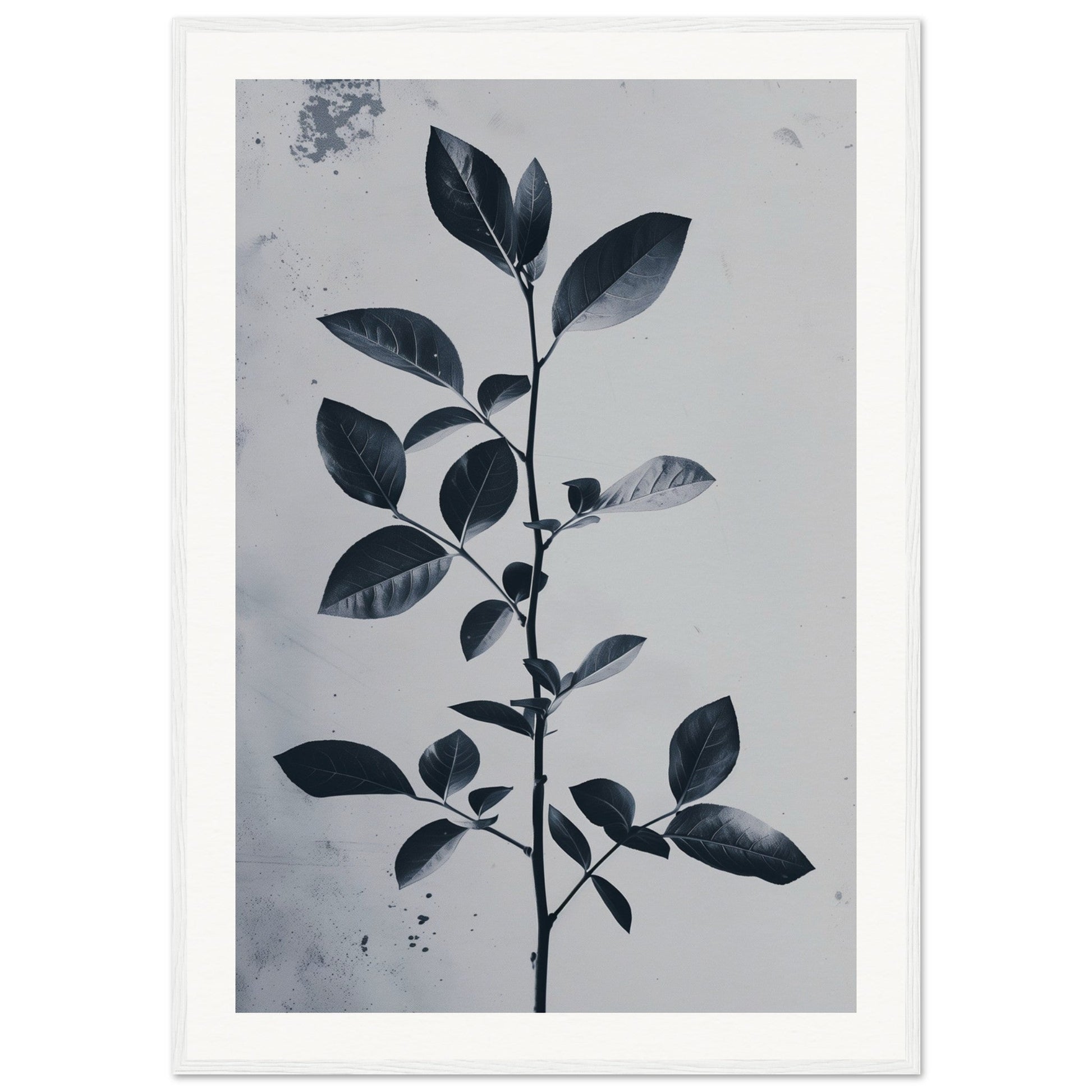 Poster Nature Design ( 70x100-cm-Bois-blanc)