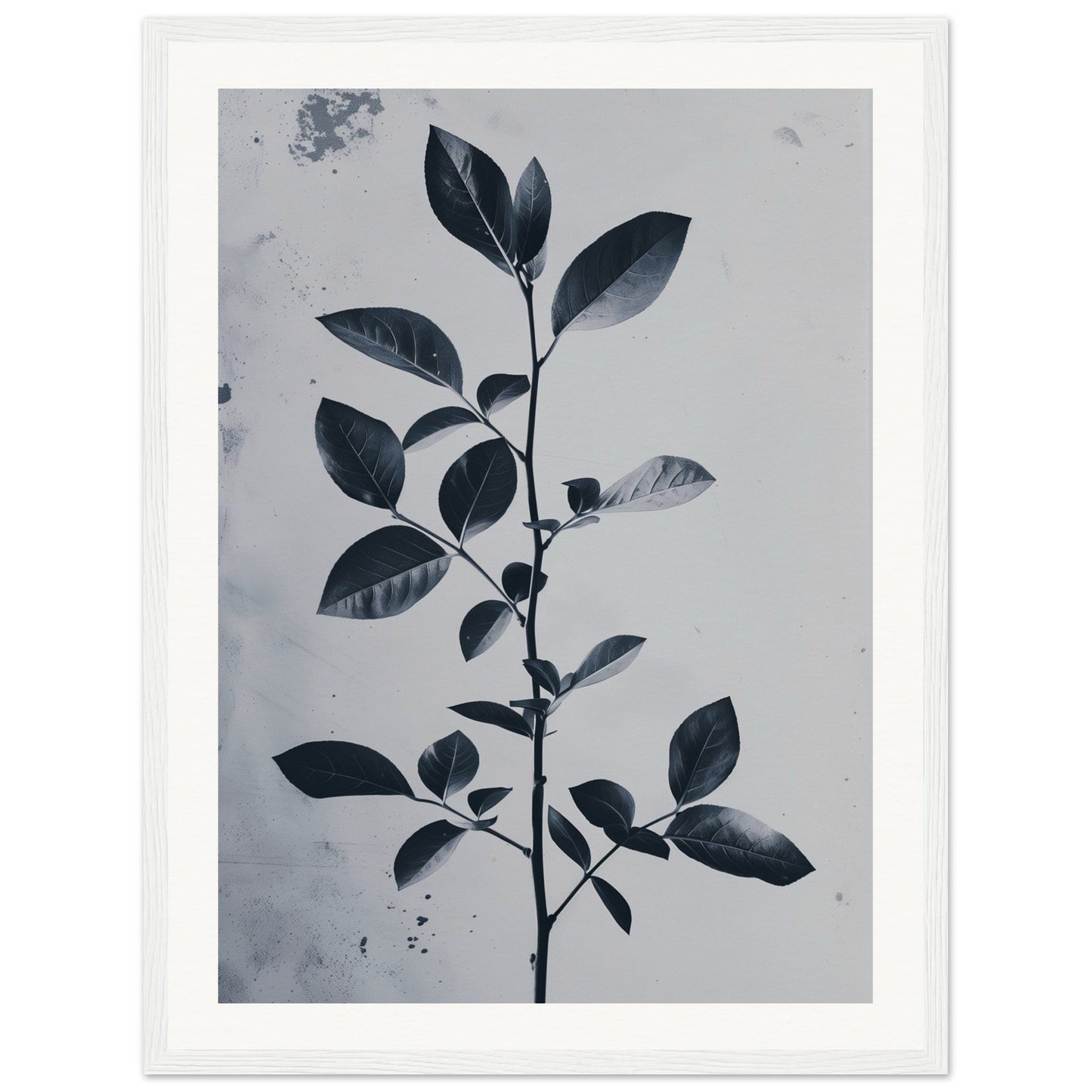 Poster Nature Design ( 45x60-cm-Bois-blanc)