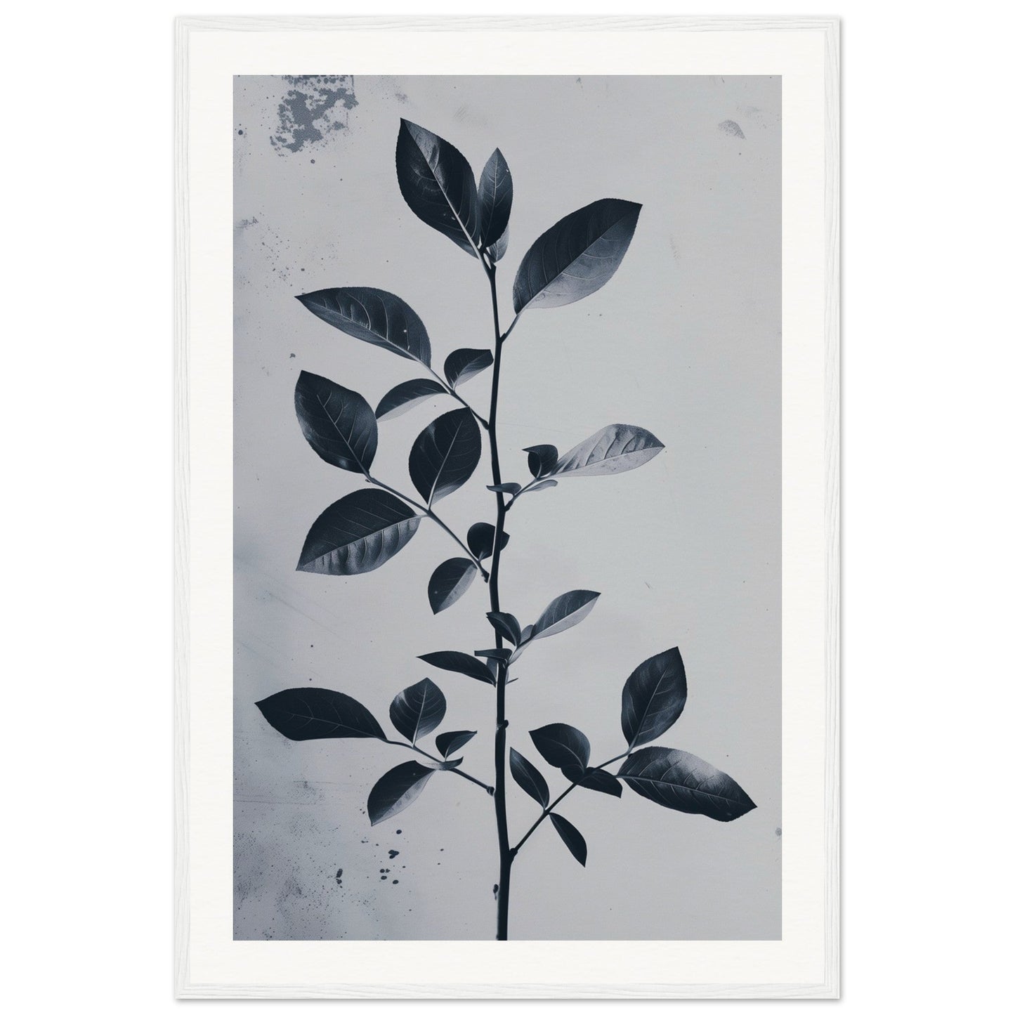 Poster Nature Design ( 60x90-cm-Bois-blanc)