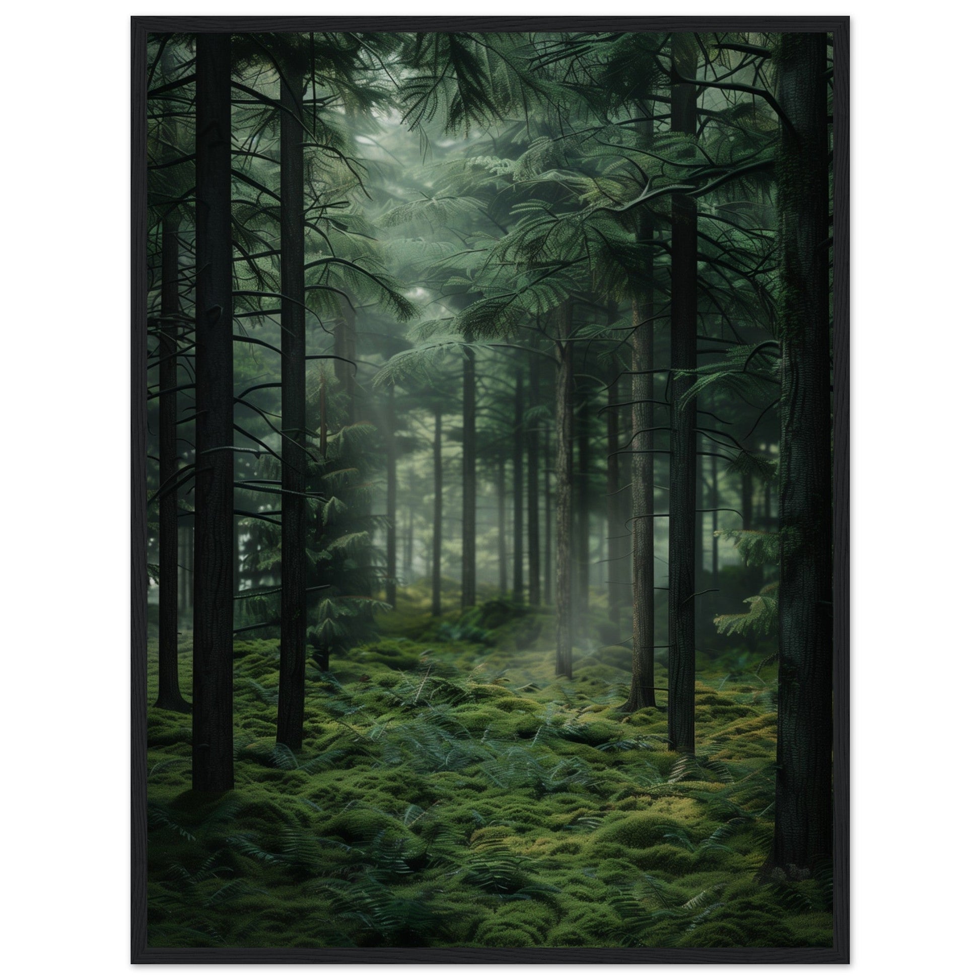 Poster Nature Forêt ( 60x80-cm-Bois-noir)