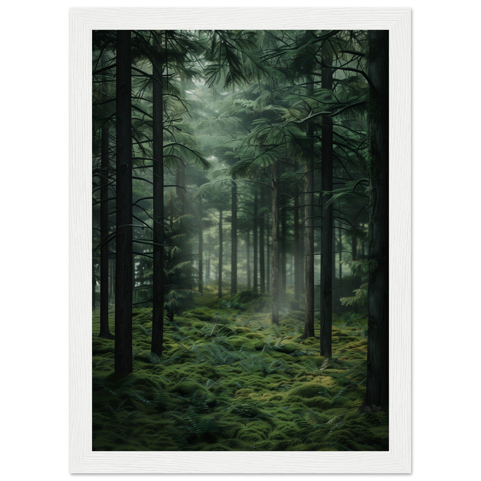 Poster Nature Forêt ( 21x29.7-cm-Bois-blanc)