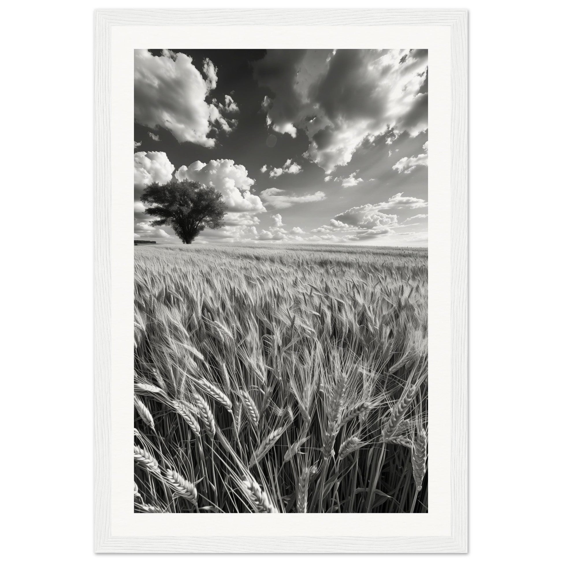 Poster Nature Noir et Blanc ( 30x45-cm-Bois-blanc)